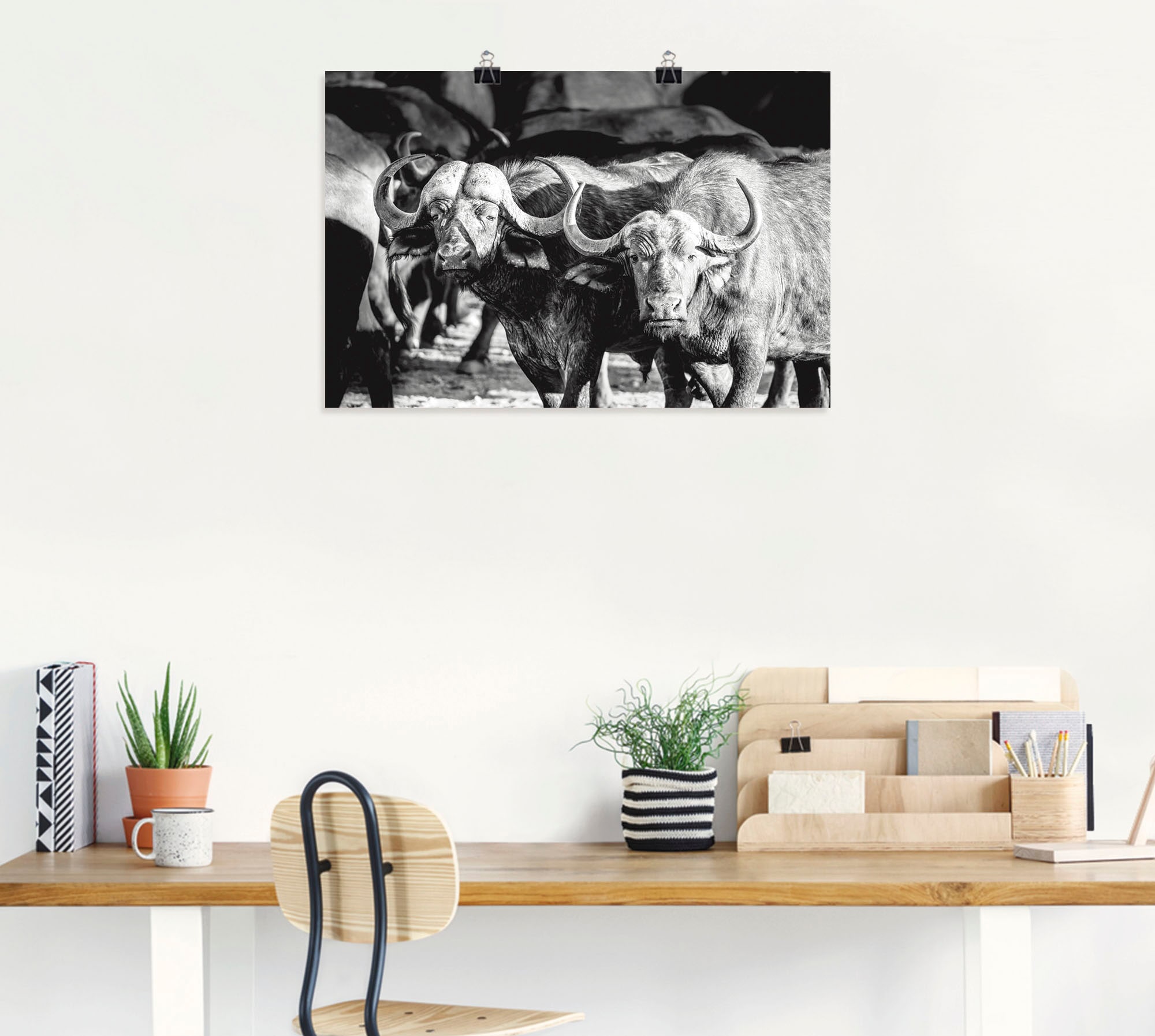 Artland Wandbild »Büffel«, Wildtiere, (1 St.), als Alubild, Leinwandbild, Wandaufkleber oder Poster in versch. Größen
