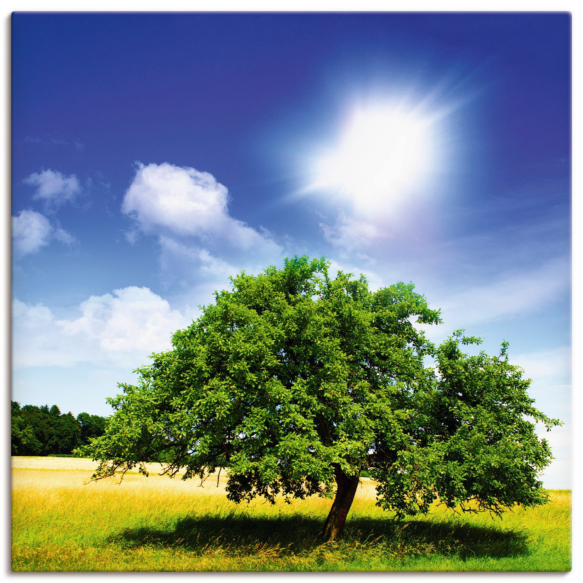 Artland Paveikslas »Baum des Lebens« Bäume (1 ...