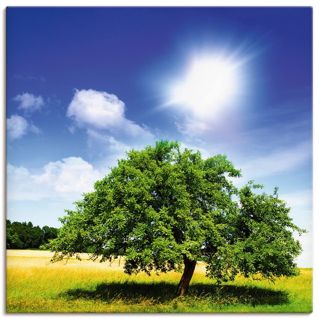 Artland Wandbild »Baum des Lebens«, Bäume, (1 St.), als Alubild,  Leinwandbild, Wandaufkleber oder Poster in versch. Größen kaufen | BAUR