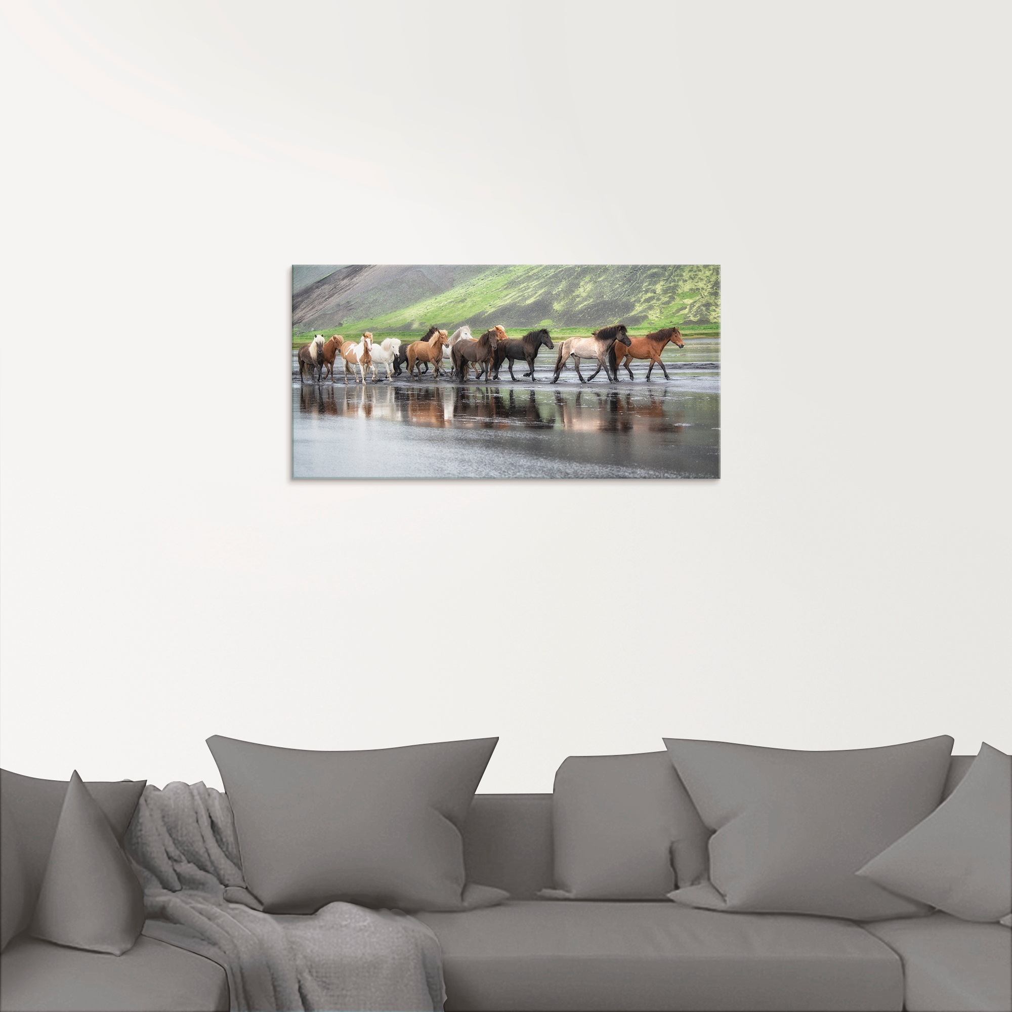 Artland Glasbild »Isländische Pferde XIV«, Haustiere, (1 St.), in verschiedenen Größen