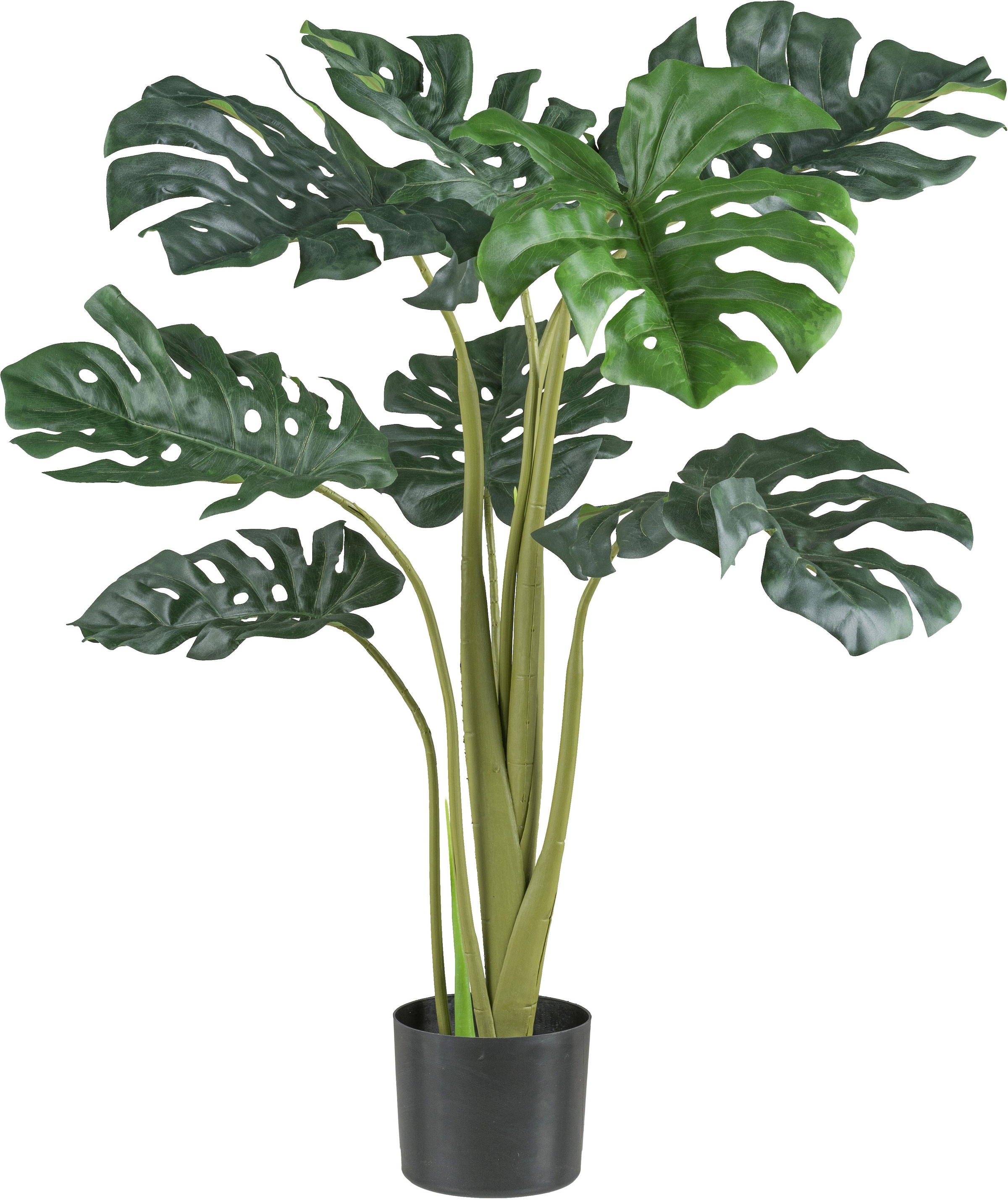 Creativ green Kunstpflanze "Philodendron", mit detailgetreuem Blattwerk günstig online kaufen