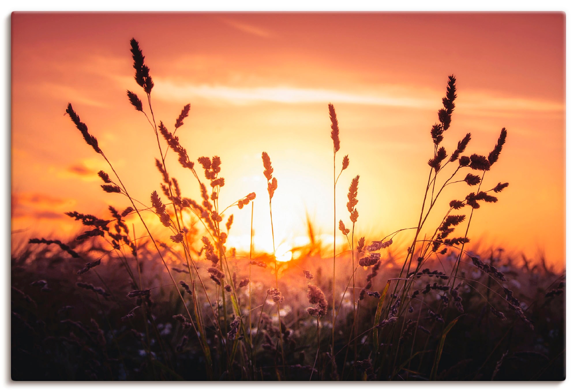 Artland Leinwandbild "Träumen" Felder 1 Stk. tlg. auf Holzrahmen gespannt günstig online kaufen