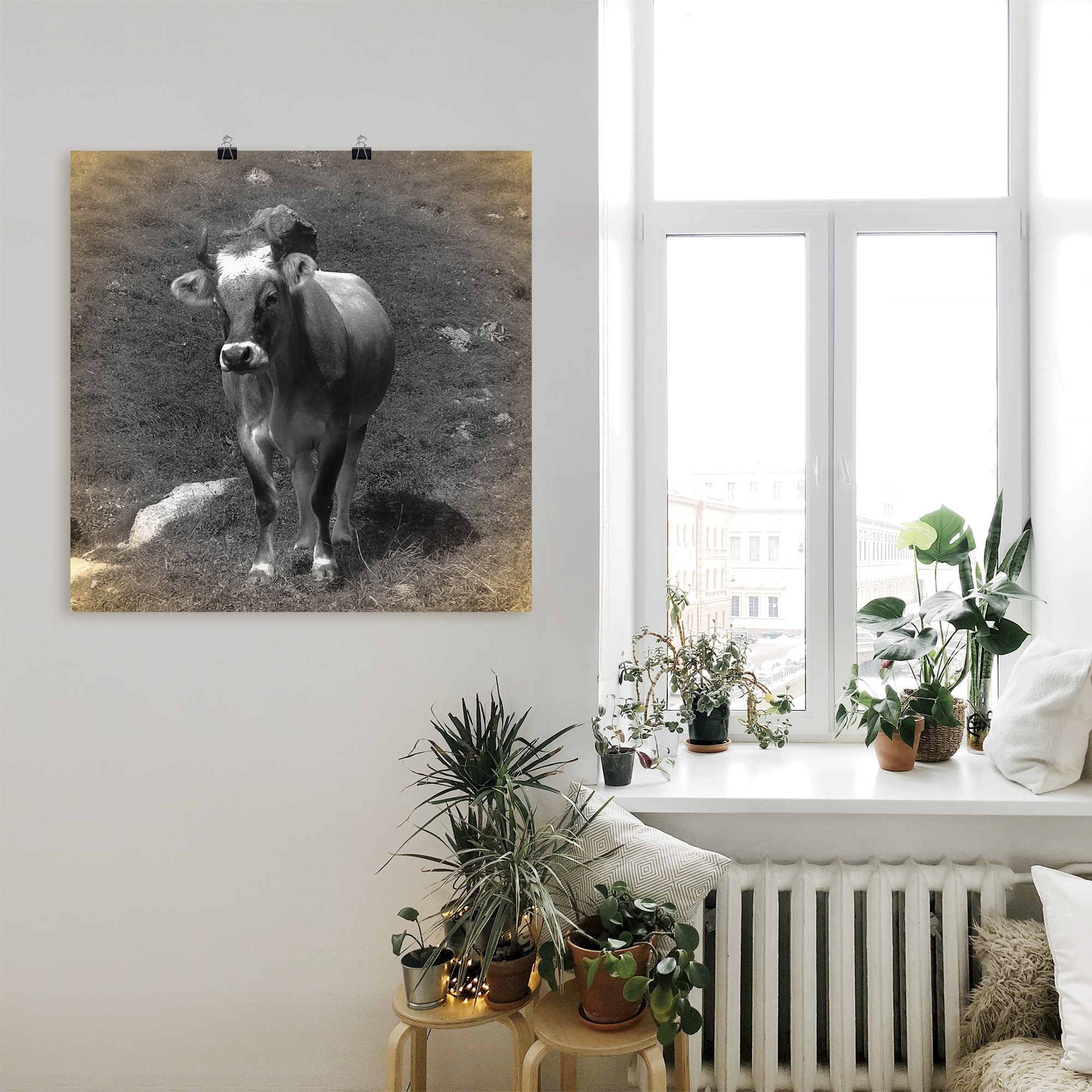 versch. »Kuh Haustiere, kaufen Wandbild Leinwandbild, Poster in Artland (1 | Größen Alubild, oder BAUR als St.), Wandaufkleber Kontakt«,