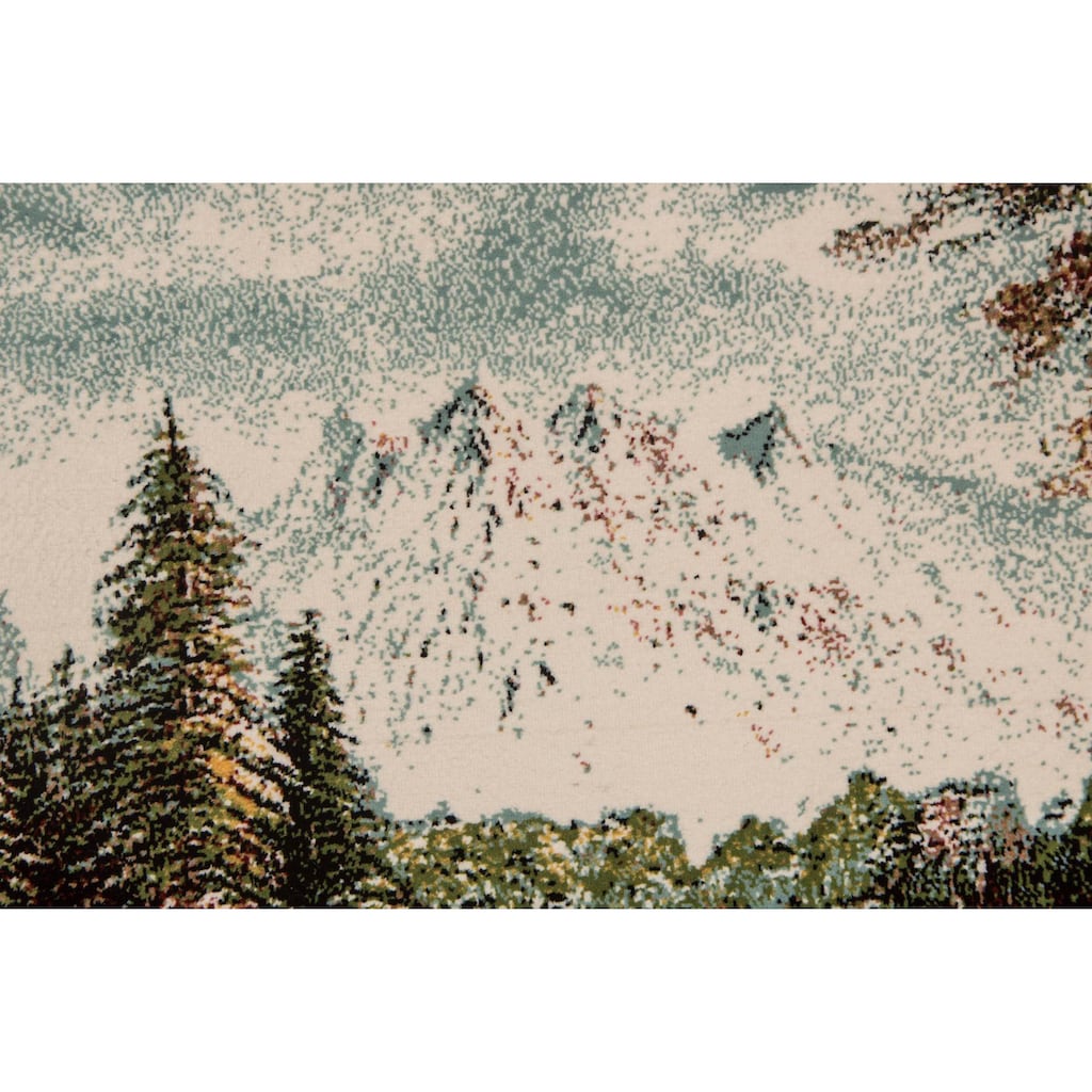 morgenland Wandteppich »Bild-Teppich Figurativ 85 x 60 cm«, rechteckig