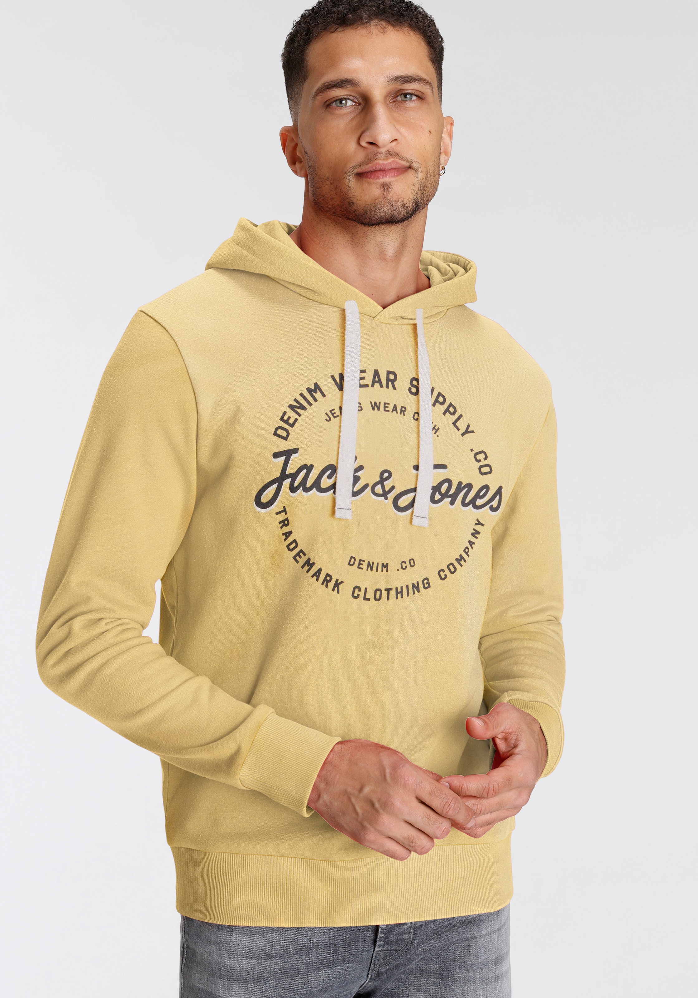Jack & Jones Kapuzensweatshirt "JJ JJANDY SWEAT HOOD"