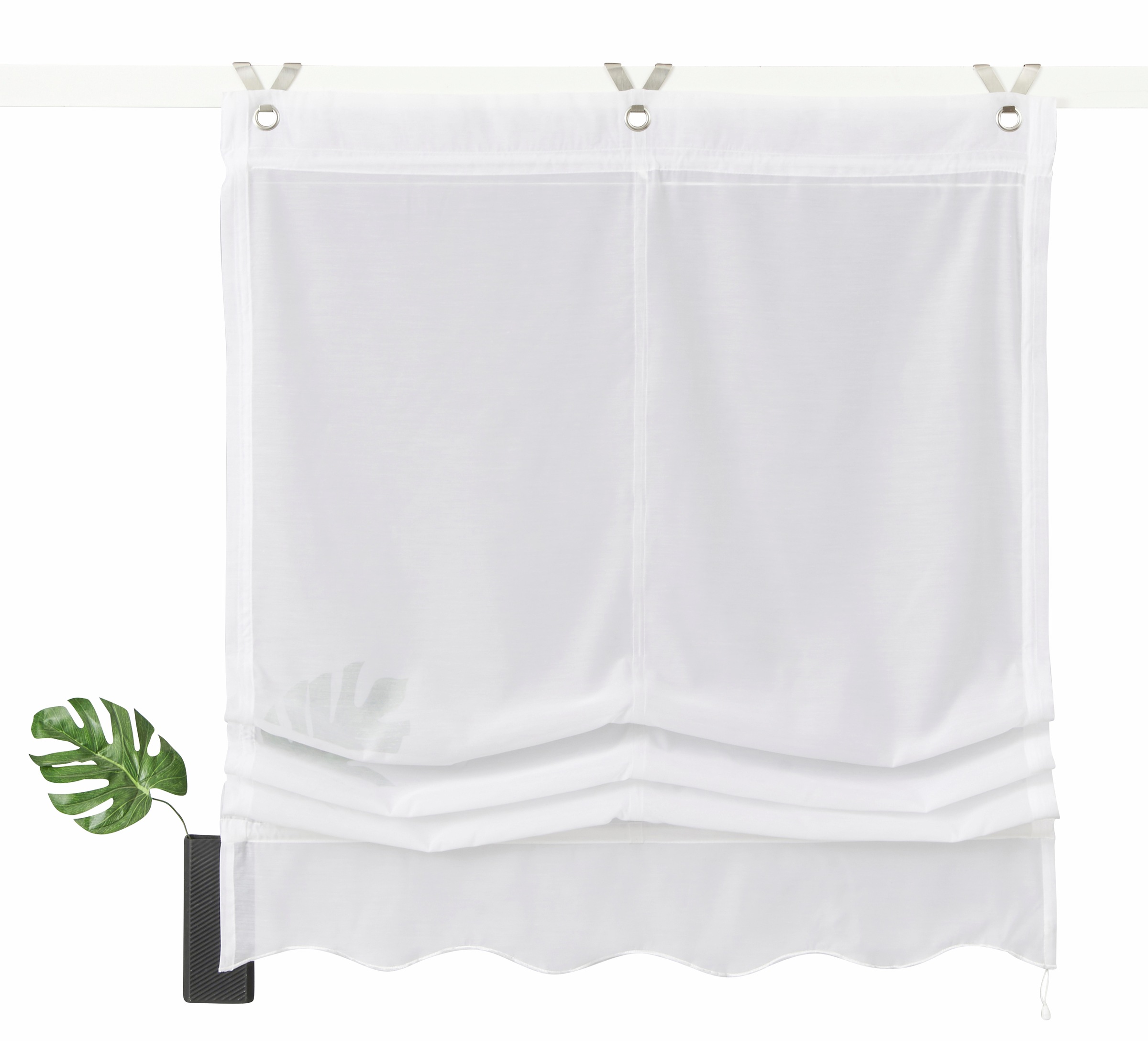 my home Raffrollo "Carpi" mit Hakenaufhängung ohne Bohren Transparent, Voil günstig online kaufen