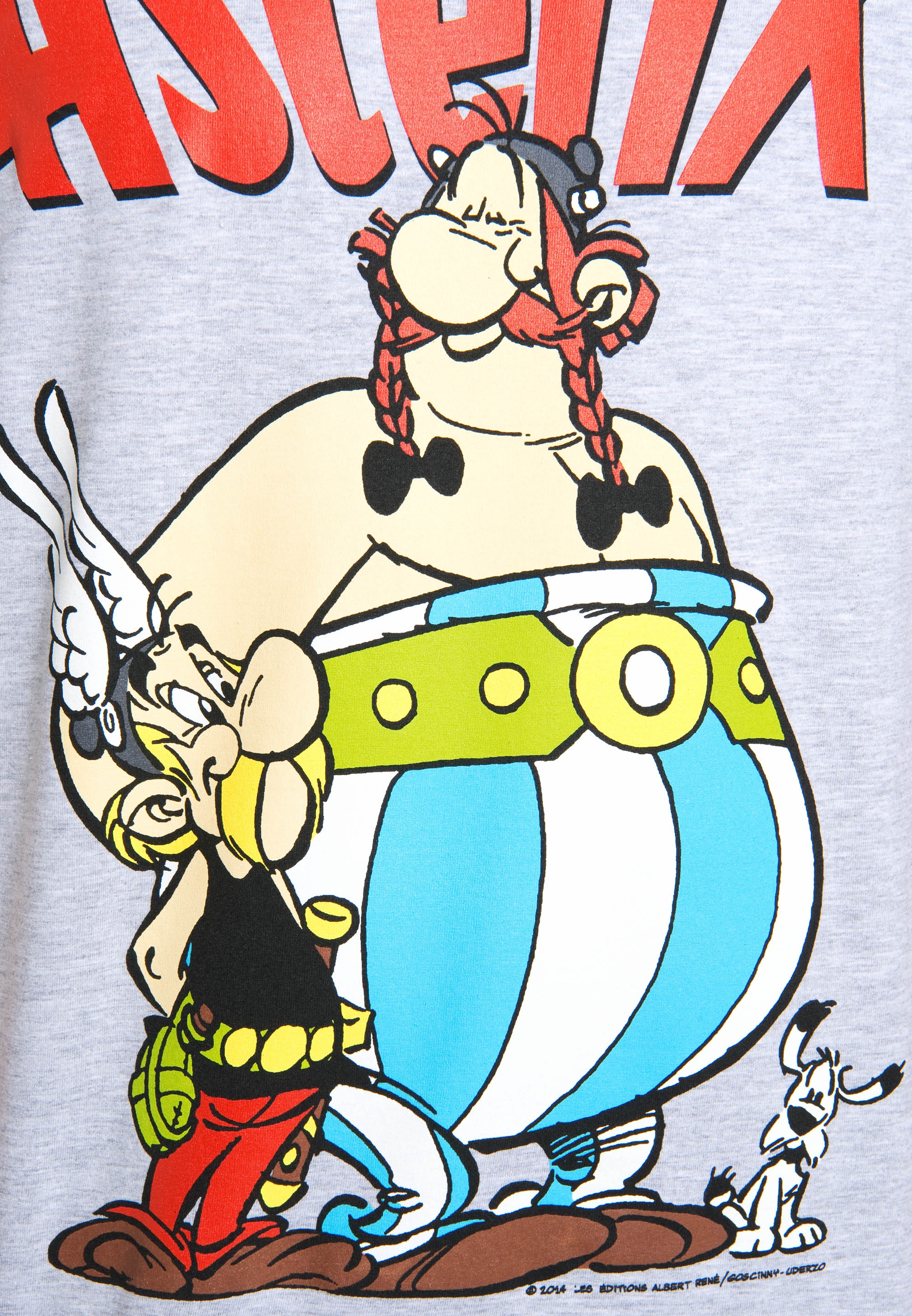 LOGOSHIRT T-Shirt »Asterix & Obelix«, mit coolem Retro-Print