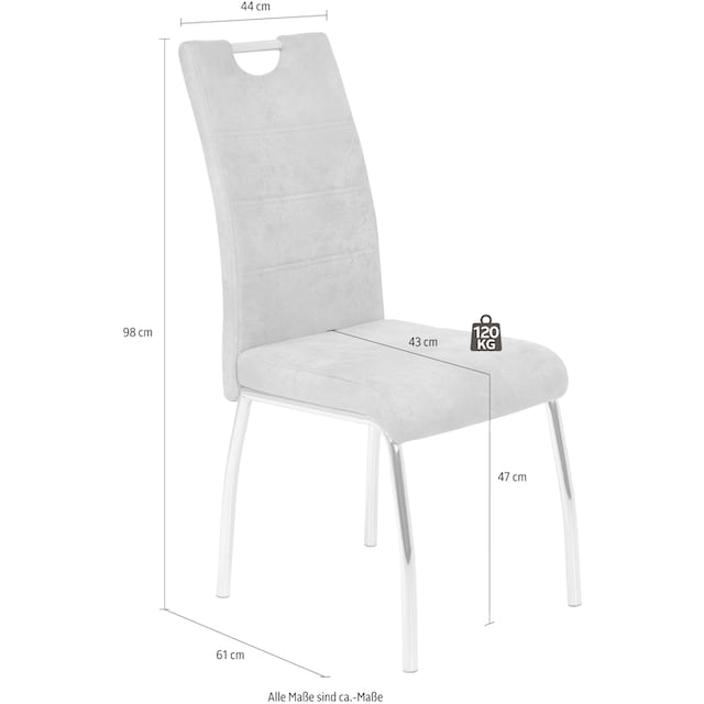 HELA Stuhl »Susi«, (Set), 4 St., Polyester, 1, 2 oder 4 Stück | BAUR