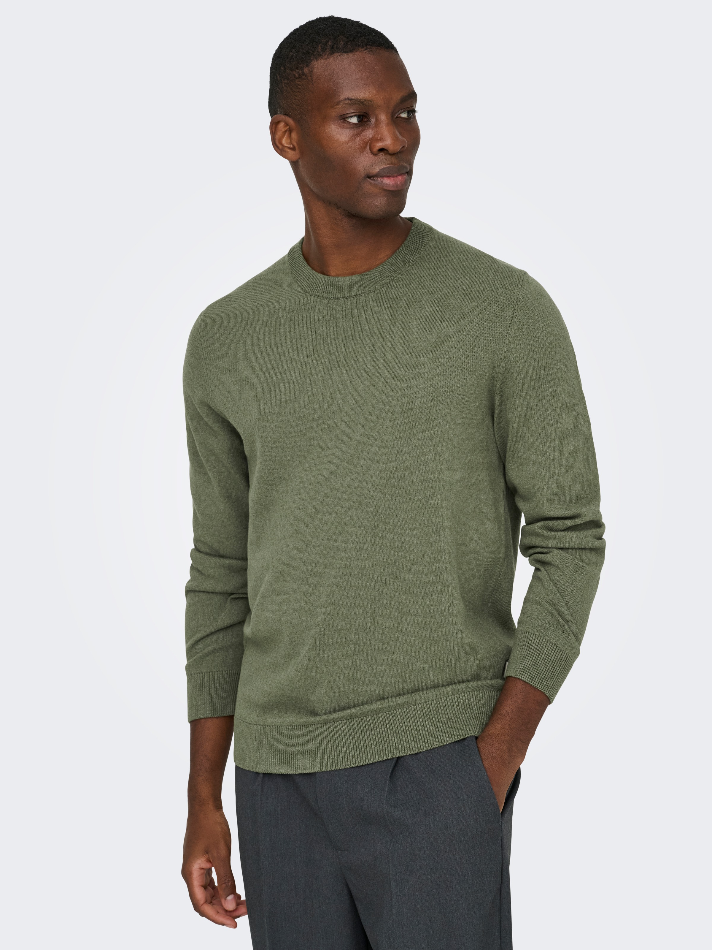 ONLY & SONS Rundhalspullover "ONSREX LIFE REG 12 CREW KNIT" günstig online kaufen