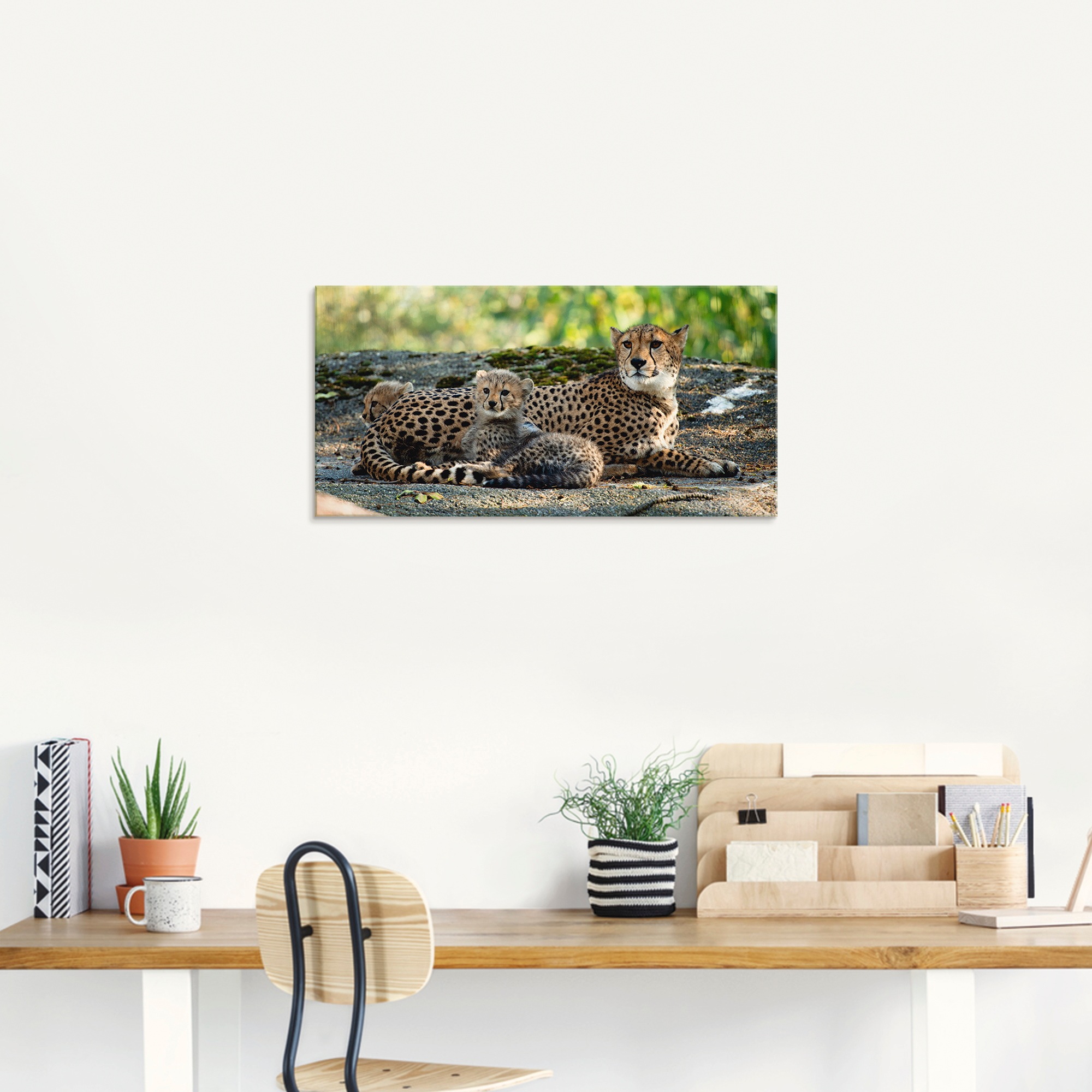 Artland Glasbild "Gepard 2" Wildtiere 1 Stk. tlg. in verschiedenen Größen günstig online kaufen
