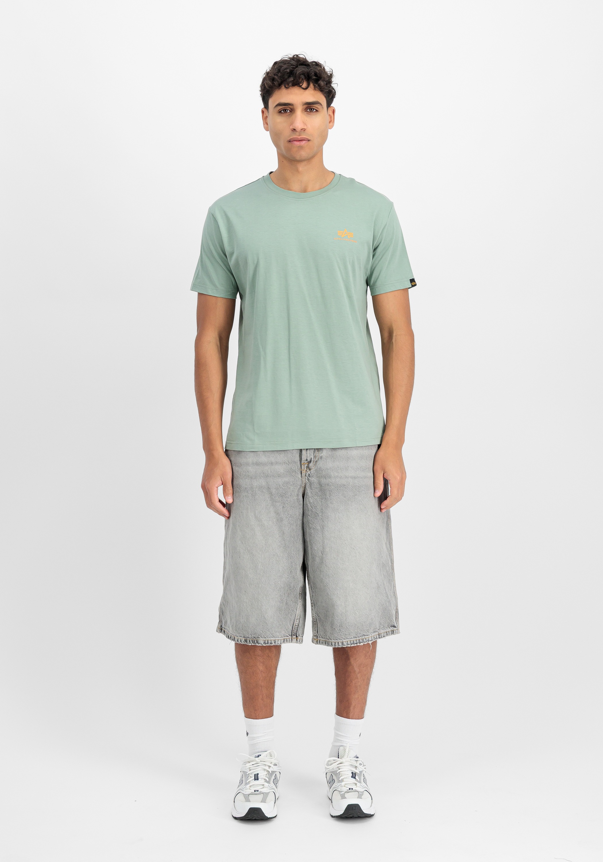 Alpha Industries Backprint T-Shirt Frost Green M 5