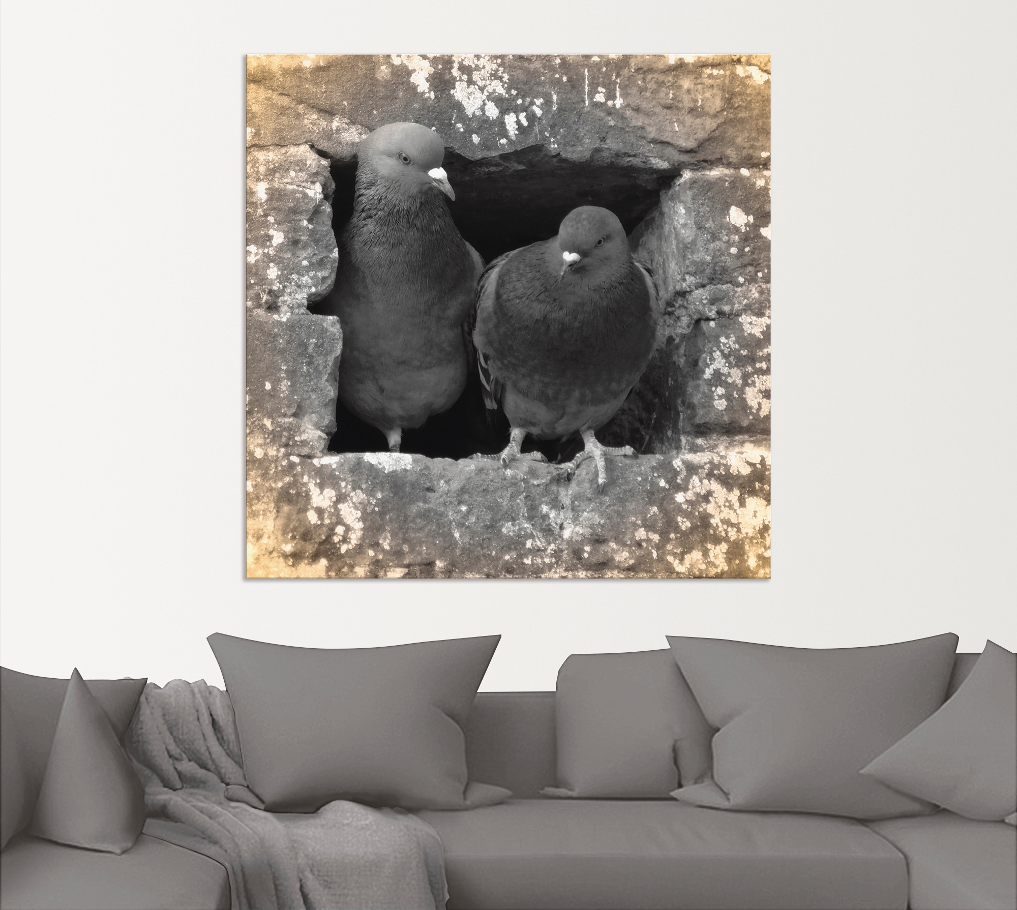 Artland Wandbild »Tauben Liebe«, Vögel, (1 St.), als Alubild, Outdoorbild, Leinwandbild, Poster in verschied. Größen