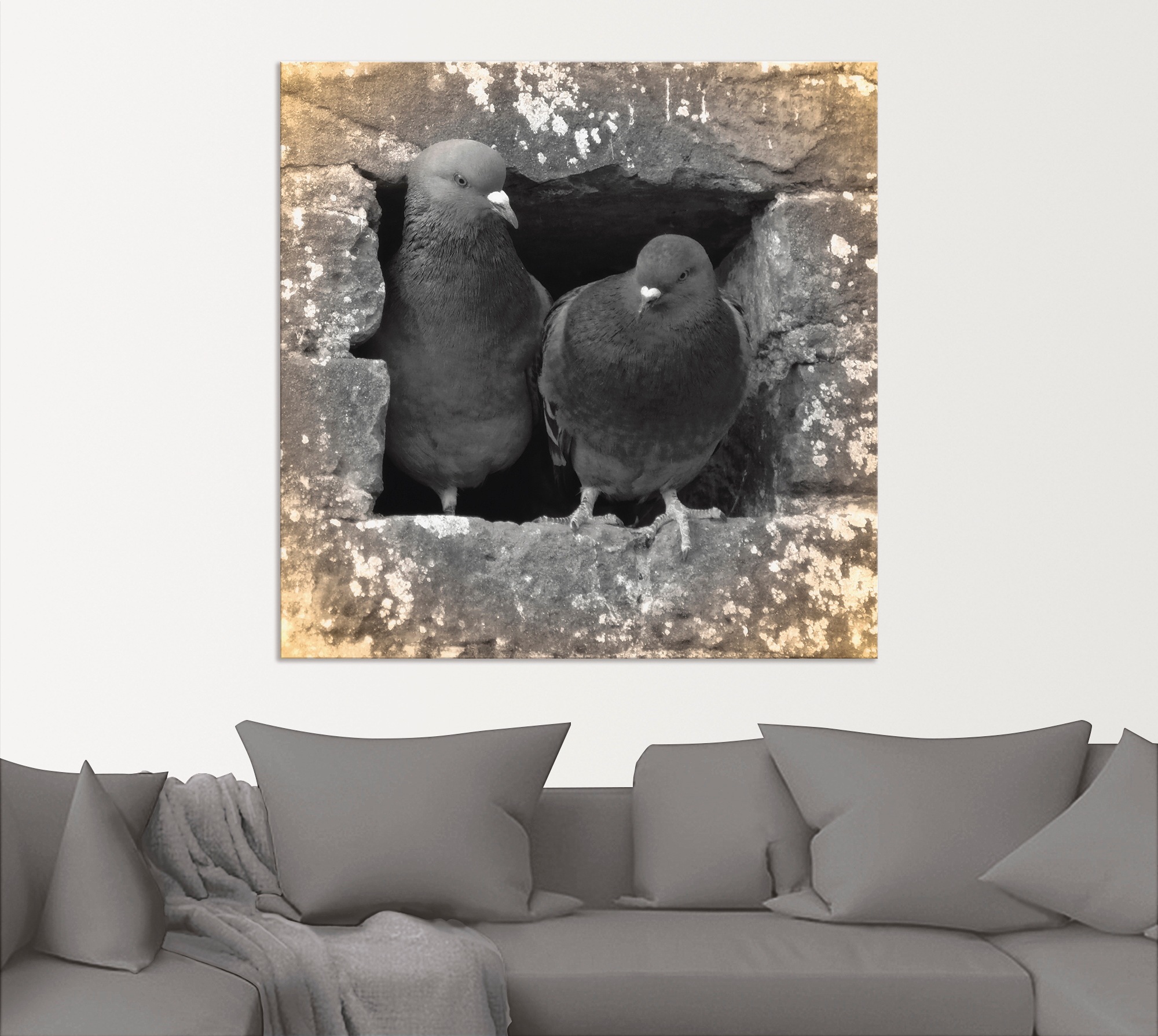 Artland Wandbild "Tauben Liebe" Vögel 1 Stk. tlg. als Alubild, Poster in verschied. Größen