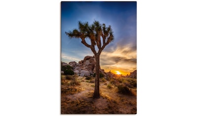 Wandbild »Sonnenuntergang Joshua Tree NationalPark« (1 Stück), in vielen Größen &...