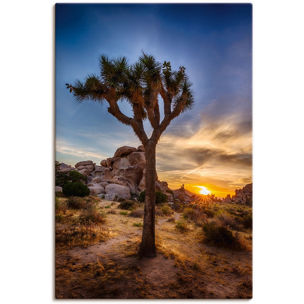 Artland Wandbild »Sonnenuntergang Joshua Tree NationalPark« (1 Stück), in vielen Größen & Produktarten - Alubild / Outdoorbild für den Außenbereich, Leinwandbild, Poster, Wandaufkleber / Wandtattoo auch für Badezimmer geeignet