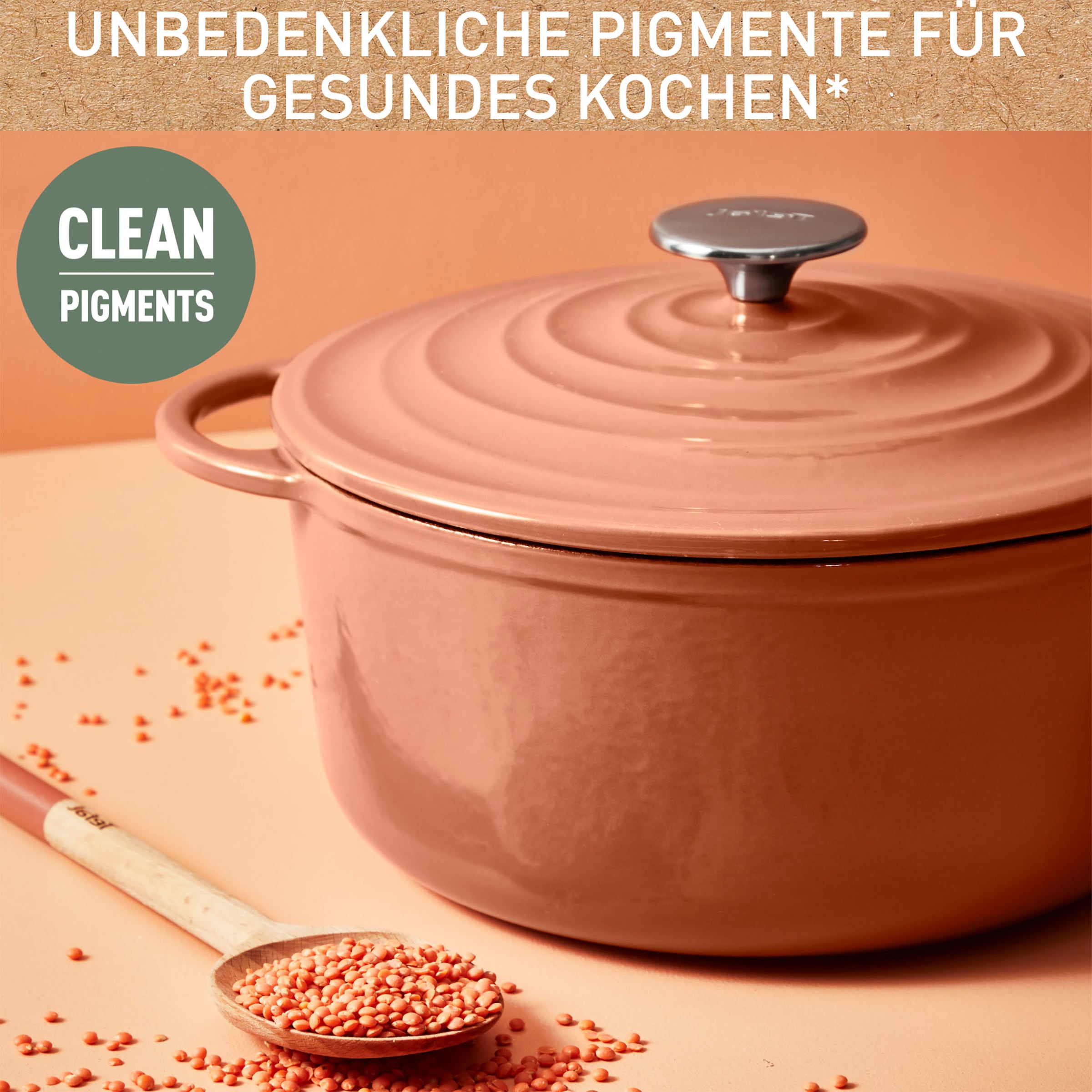 Tefal Kochtopf »LOV«, Gusseisen, (1 tlg.), umweltfreundlich, unbedenkliche Pigmente,Schongaren, Ø25 cm, Induktion