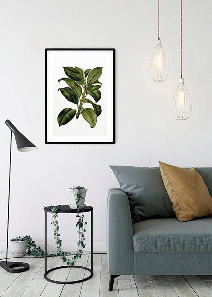 Komar Poster »Elastica Tree«, Schlafzimmer, | Wohnzimmer St.), (1 Pflanzen-Blätter, BAUR Kinderzimmer