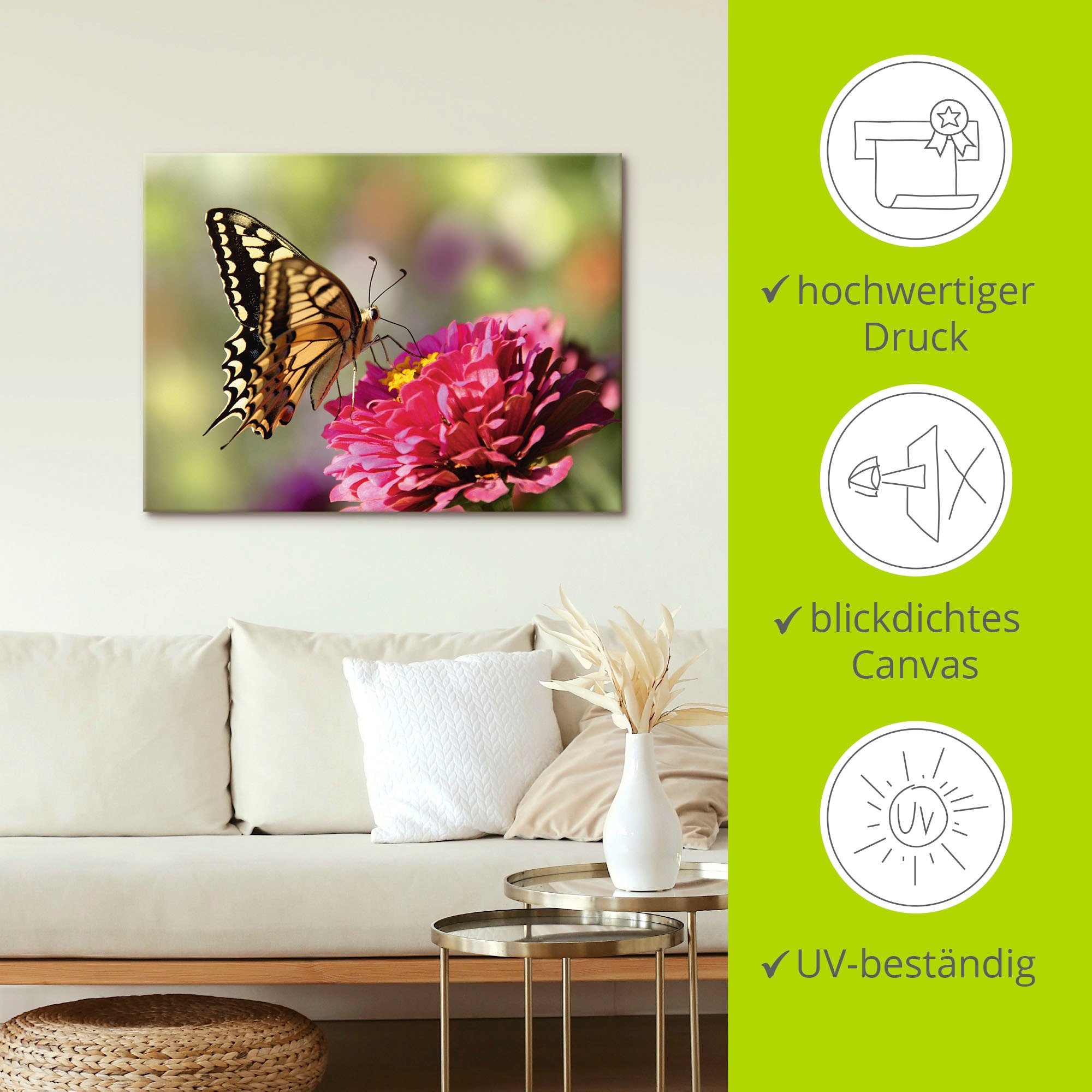 Artland Leinwandbild »Schmetterling«, Insekten, (1 St.), auf Keilrahmen gespannt