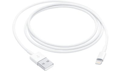 Apple Smartphone-Kabel »Lightning to USB Cable (1 m)«, Lightning, USB kaufen