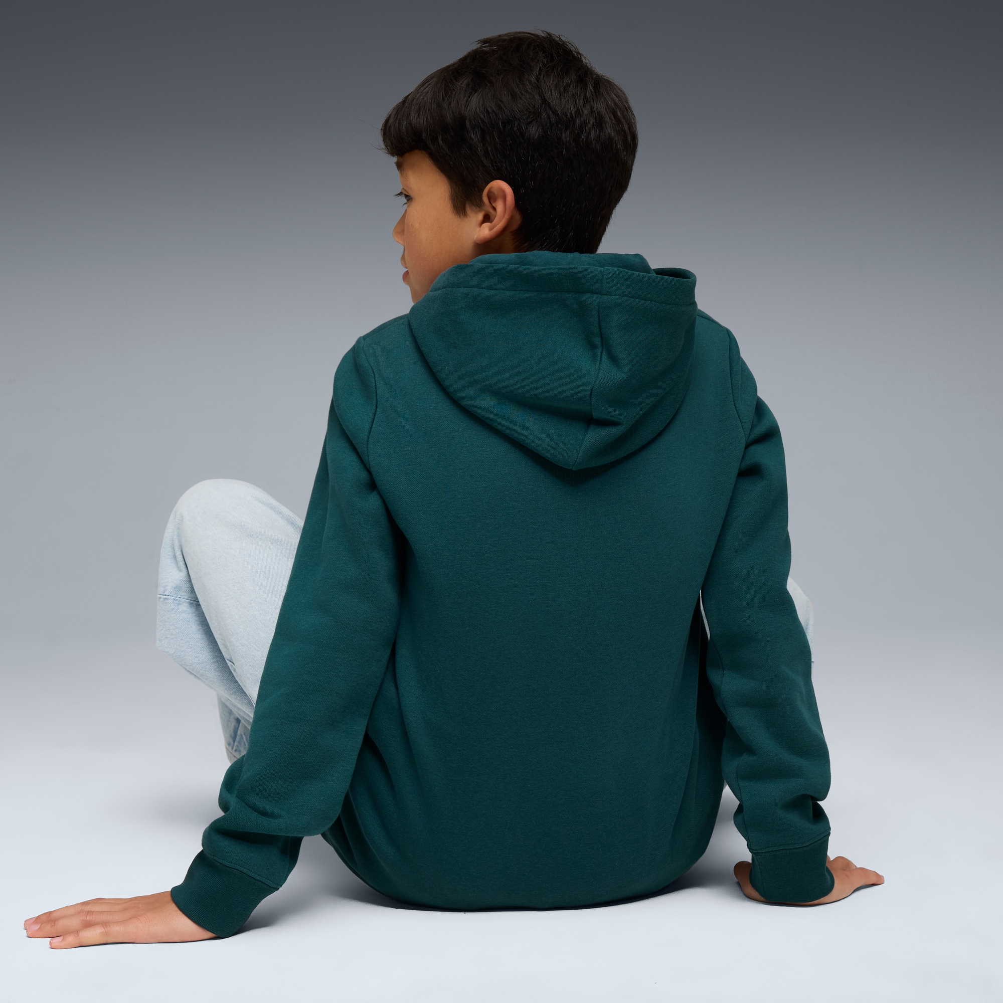 PUMA Kapuzensweatshirt »ESS NO. 1 LOGO HOODIE FL B«