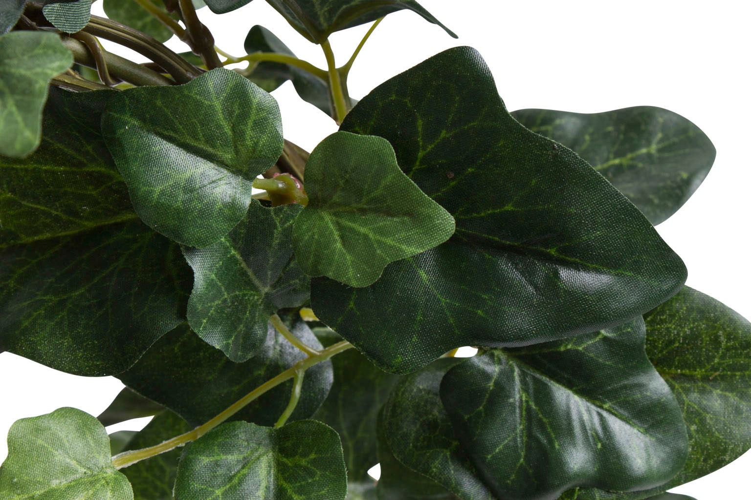 Botanic-Haus Künstliche Zimmerpflanze »Efeubogen im Topf«