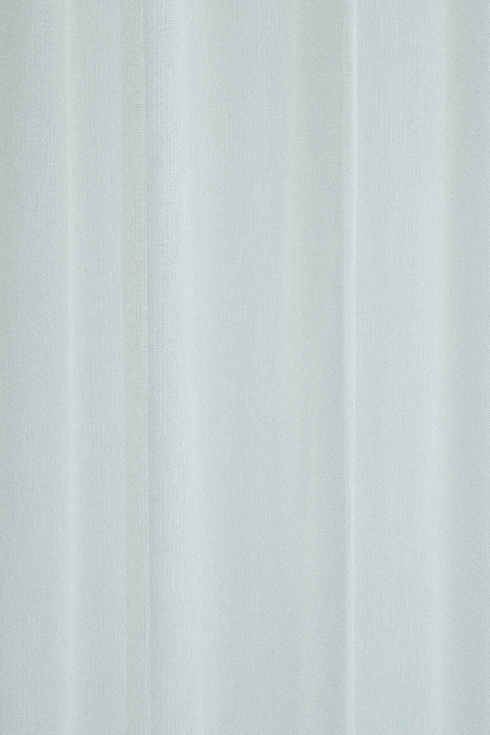 HOMING Gardine »Faria« verdeckte Schlaufen 1 Stk. tlg. Fertigschal