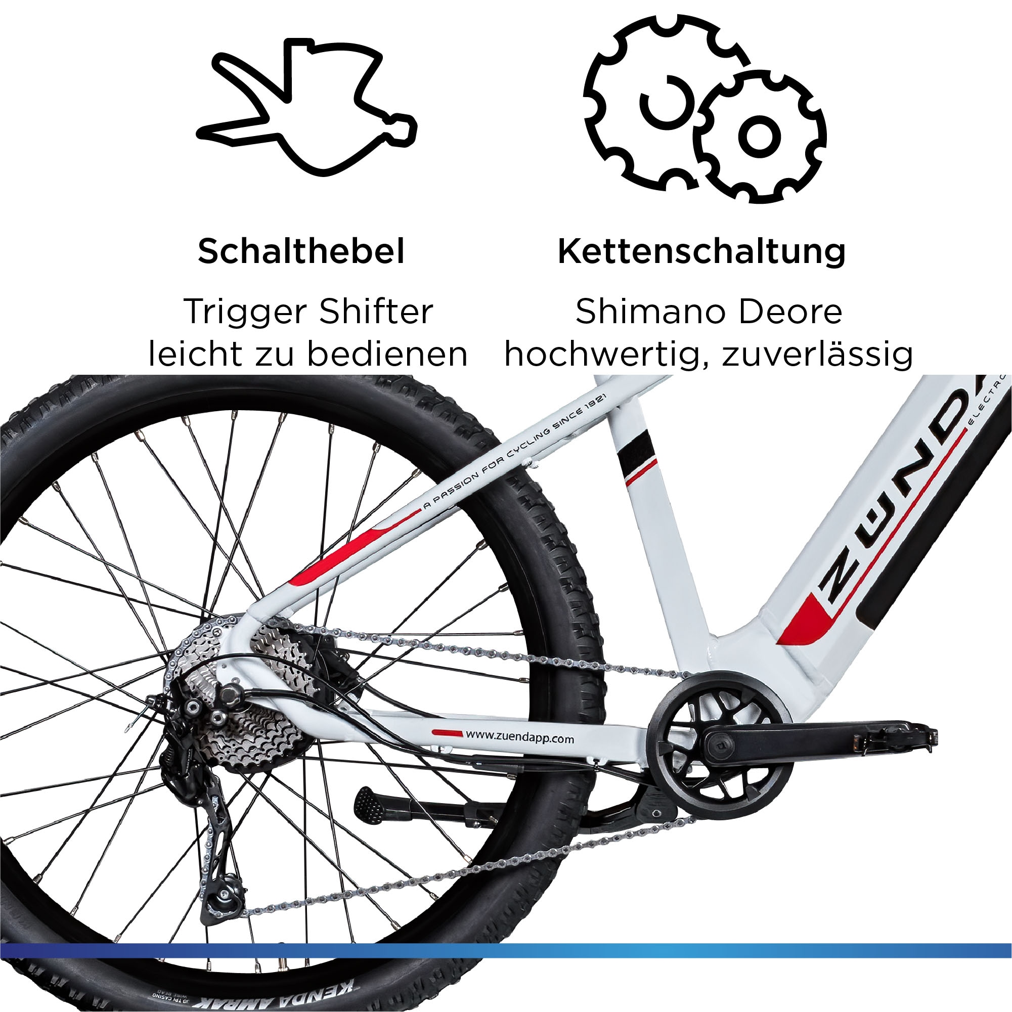 Zündapp E-Bike »Z898«, 10 Gang, Heckmotor 250 W, Pedelec, Elektrofahrrad für Damen u. Herren, MTB
