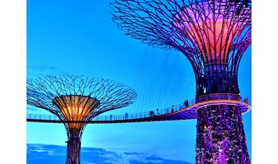 Fototapete »Singapore Bay Supertrees«
