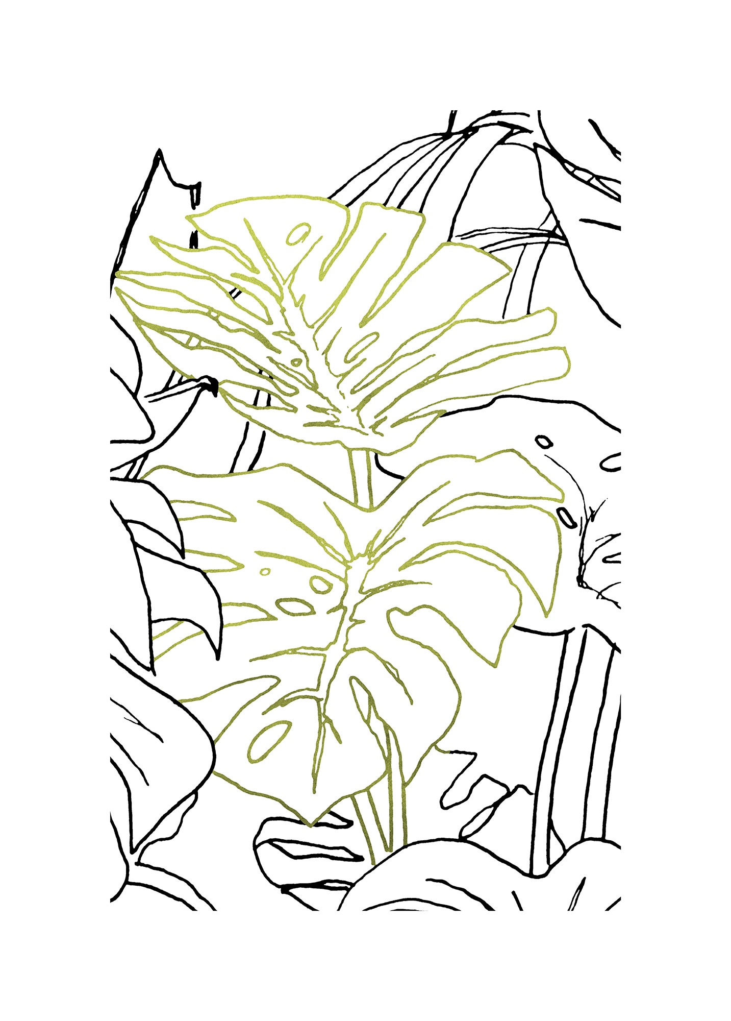 Komar Bild "Monstera Borsigiana" Natur 1 Stk. tlg. Wandbild zur Dekoration günstig online kaufen
