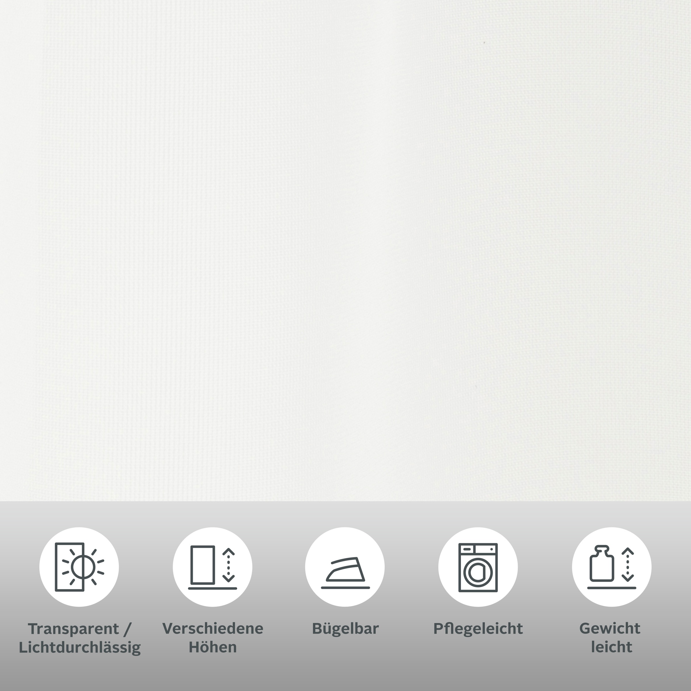 my home Scheibengardine "EBY" Schlaufen 1 Stk. tlg. Fertiggardine, mit eins günstig online kaufen