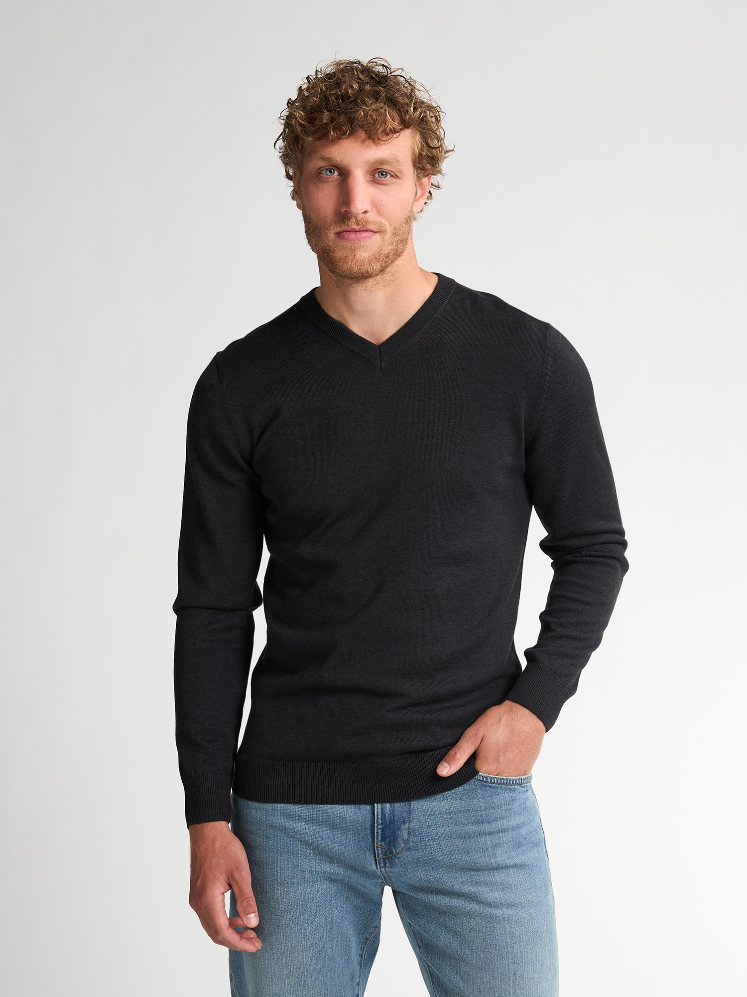 Petrol Industries V-Ausschnitt-Pullover "V-Neck Basi", Materialmix mit Baum günstig online kaufen
