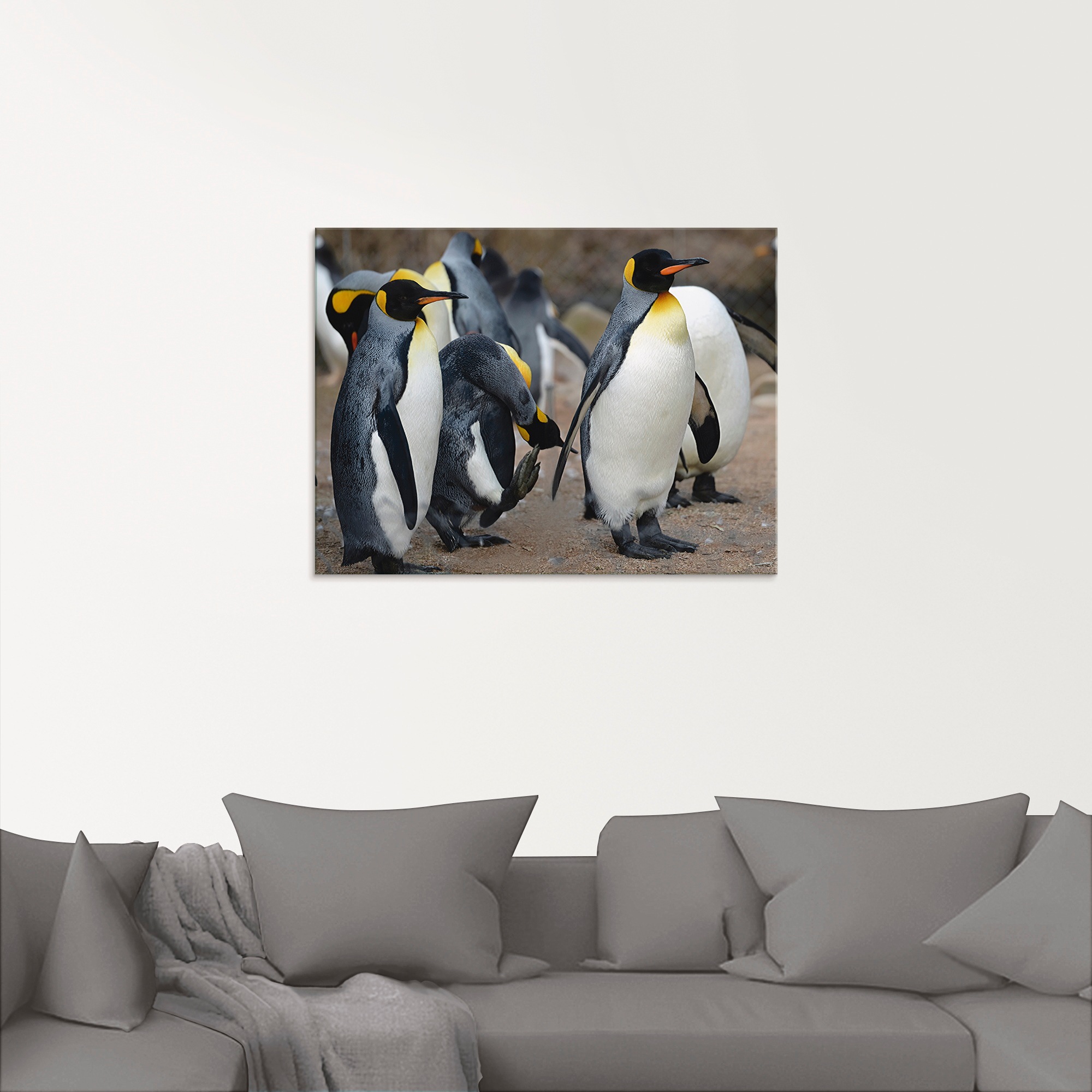 Artland Glasbild »Königspinguin«, Vögel, (1 St.), in verschiedenen Größen