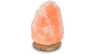 HIMALAYA SALT DREAMS Salzkristall-Tischlampe »USB-Rock«, LED-Board, 1 St., Warmweiß,... kaufen