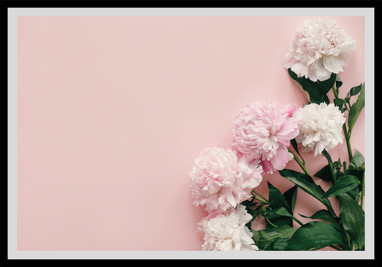 queence Paveikslas »Gunda« Blumen Rosen gerahm...