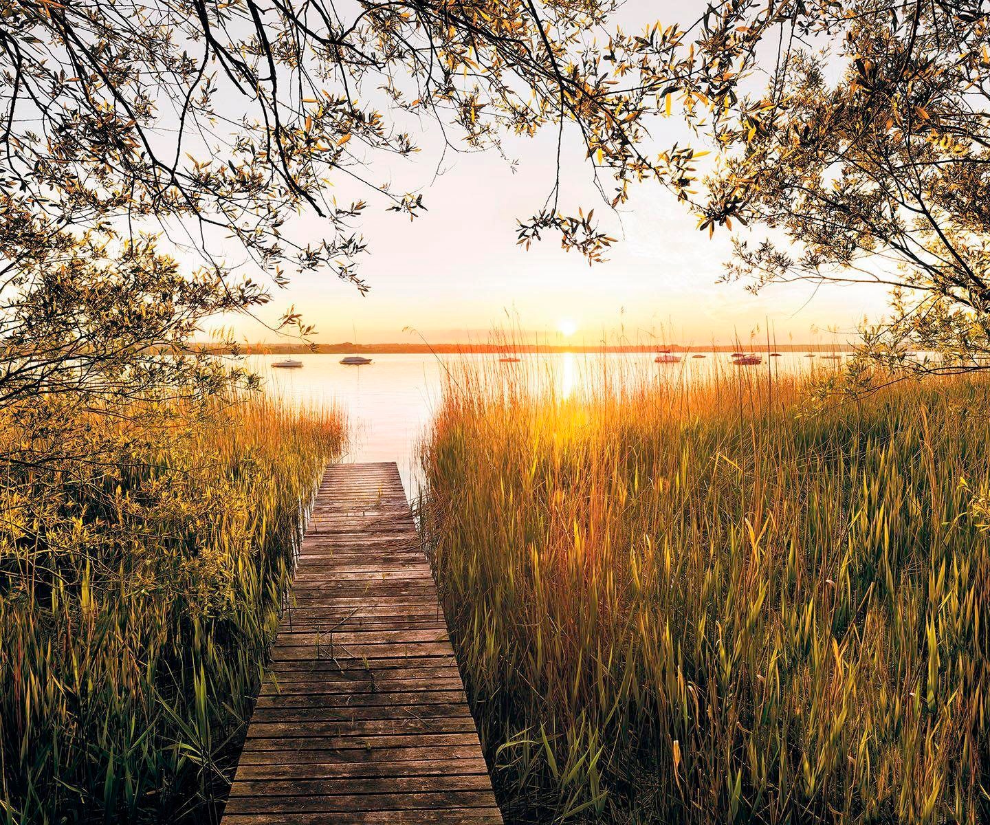 Komar Vliestapete »Lakeside« 300x250 cm (Bre...