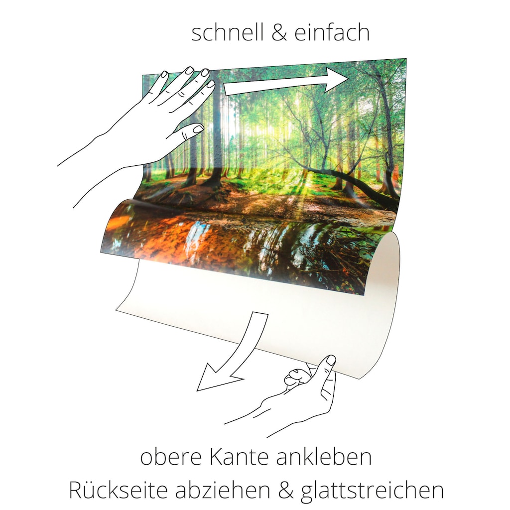 Artland Wandbild »Fensterblick Insel Palmen Meer«, Fensterblick, (1 St.)