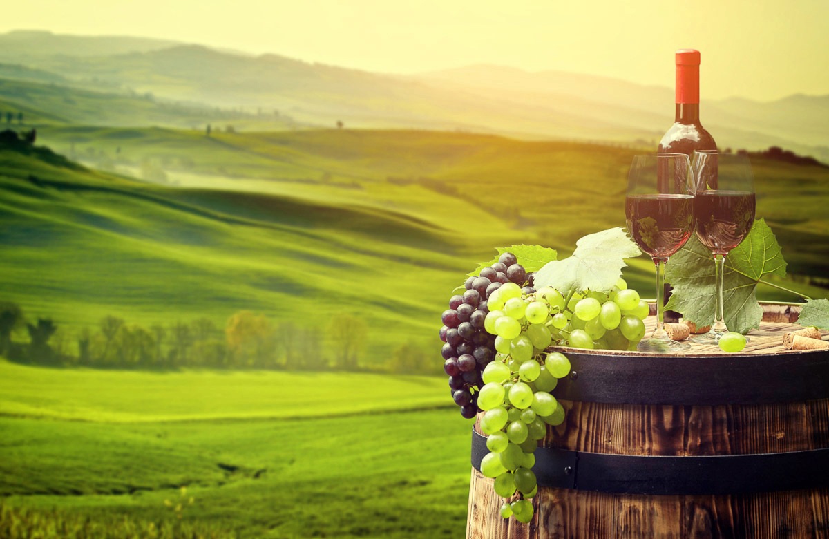Papermoon Fototapete WEINBAU-WEIN TRAUBEN FELD WIESE WEIN SONNE LANDSCHAFT