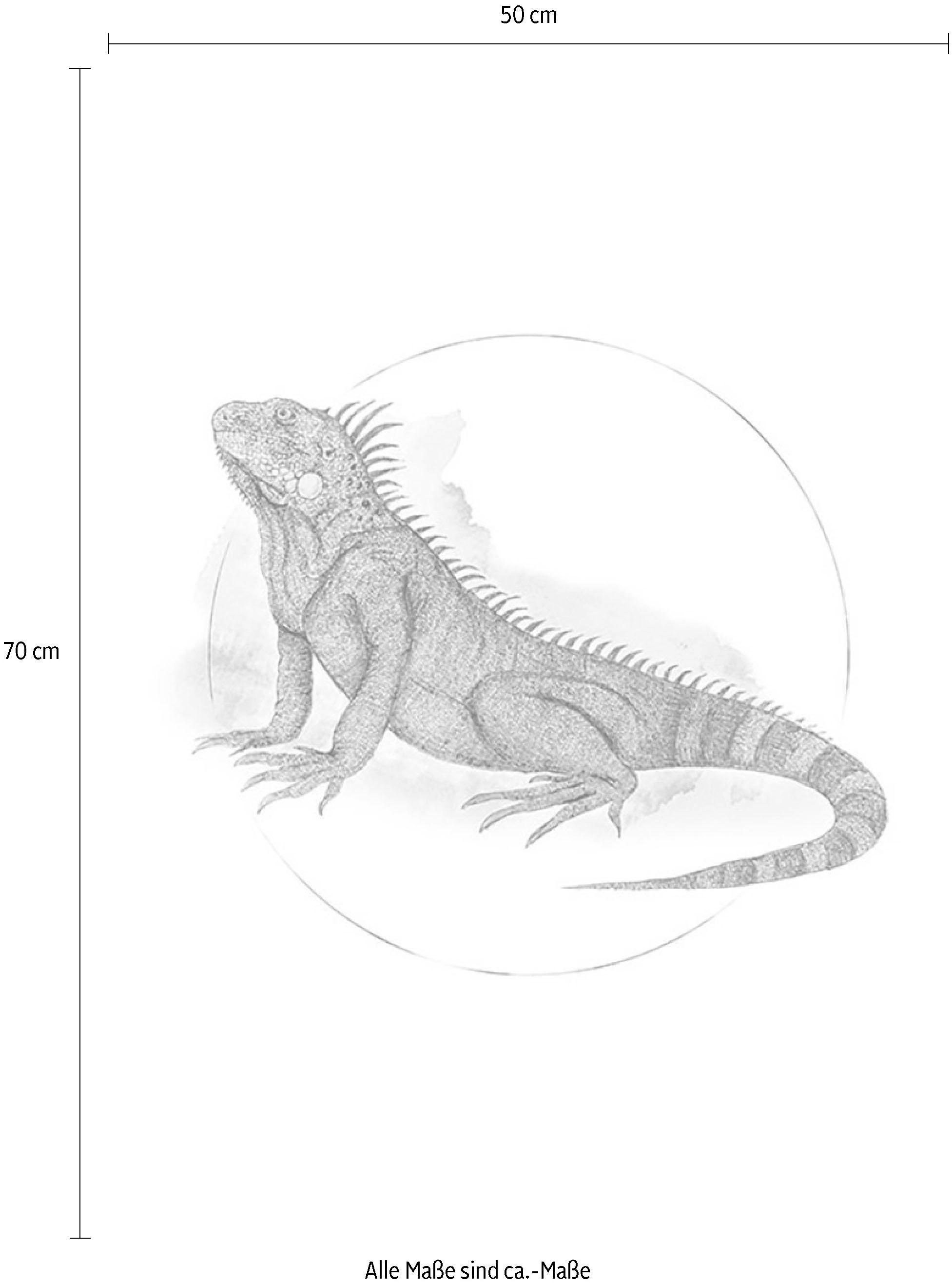 Komar Bild »Iguana Watercolor«, Tiere, (1 St.), Wandbild zur Dekoration - ohne Rahmen
