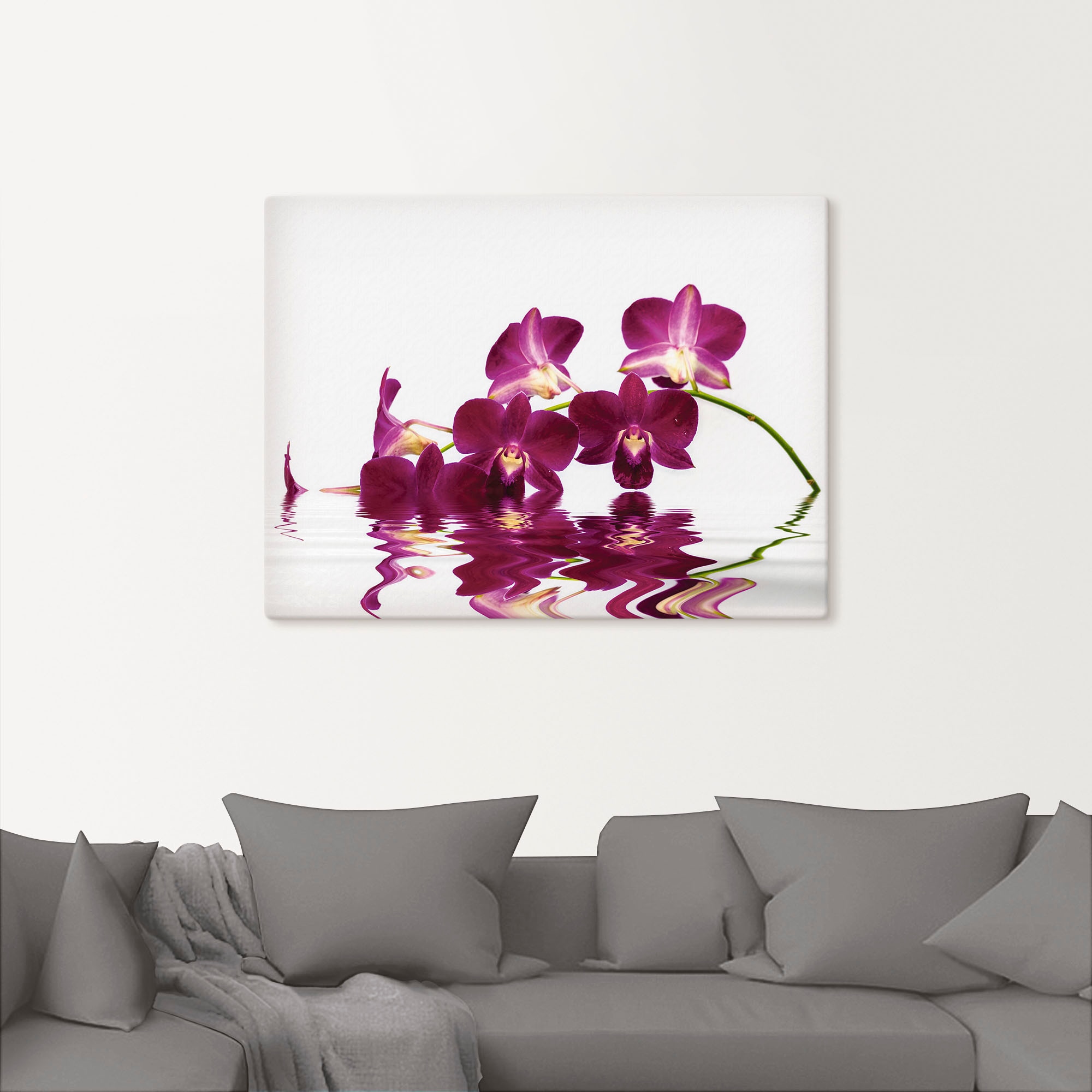 Artland Leinwandbild "Phalaenopsis Orchidee", Blumen, (1 St.), auf Keilrahm günstig online kaufen