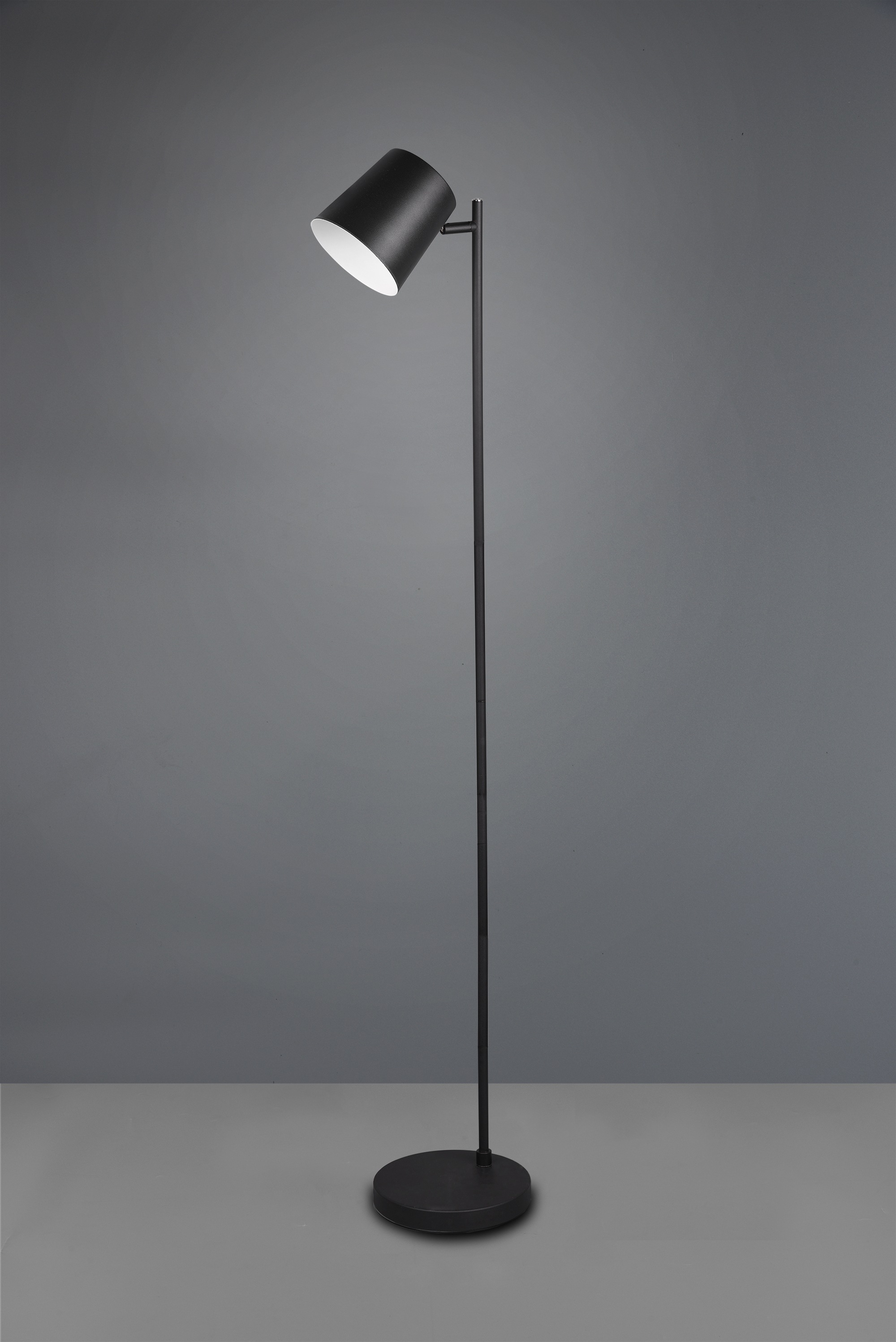 REALITY Leuchten LED Stehlampe »BLAKE, Akku Stehleuchte Indoor, mit USB-C Lade-Anschluss, Höhe 125 cm«, 1 flammig, Leuchtmittel LED-Board | LED fest integriert, Ø 20cm, mit 4-fach Touchdimmer, Leuchtenkopf schwenkbar, 4,5W 350 Lm