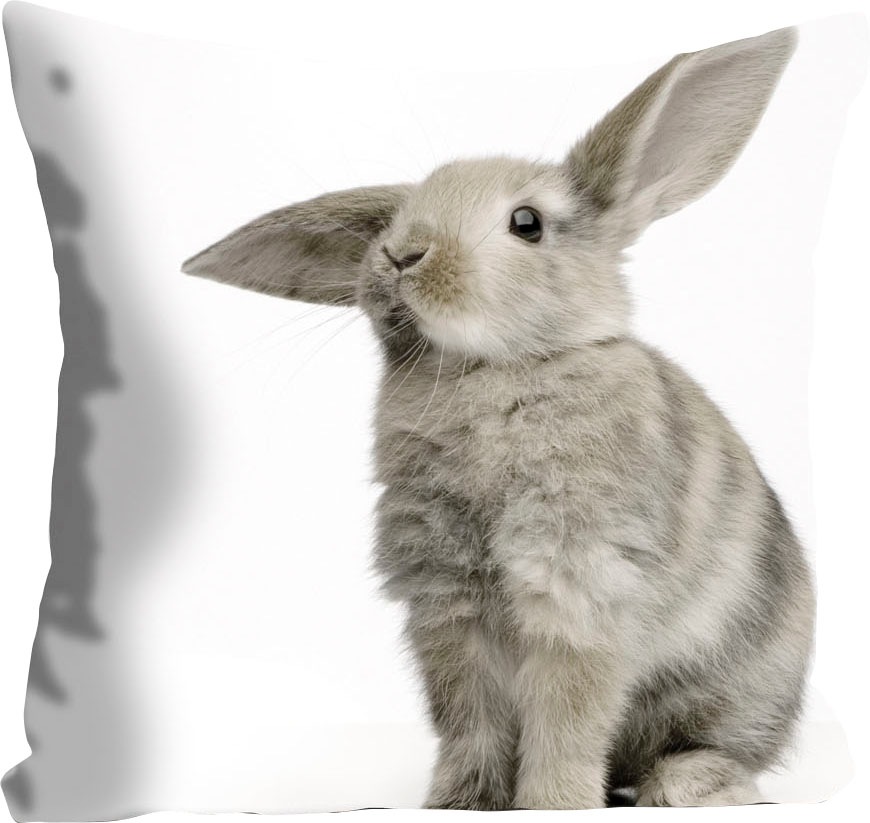 queence Dekokissen "Marwin" mit einem grauen Hasen günstig online kaufen