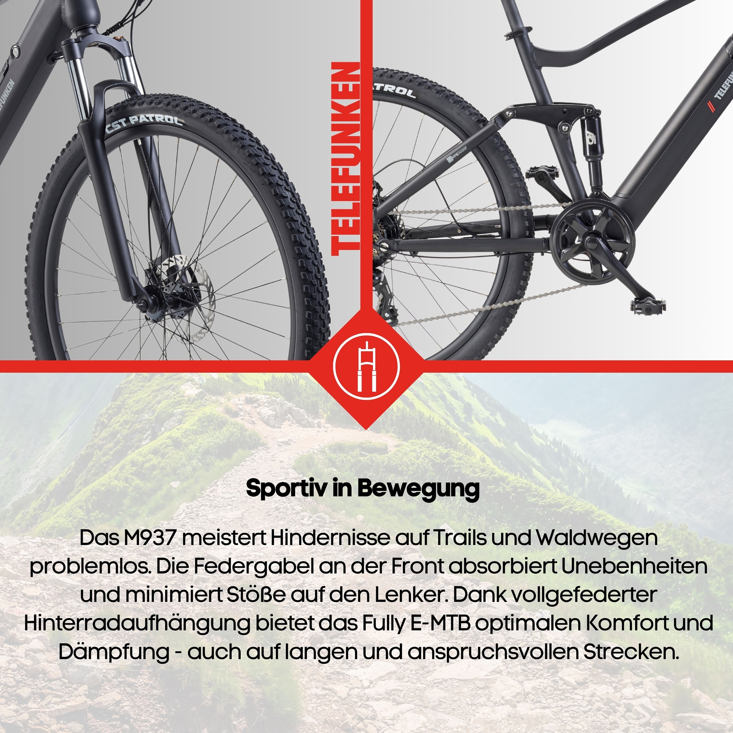 Telefunken »Aufsteiger M937« 7 Gang Shimano TY300D Schaltwerk Kettenschaltung Heckmotor 250 W Pedelec, Elektrofahrrad, Damen u. Herren, E-MTB, Mountainbike, 29 Zoll
