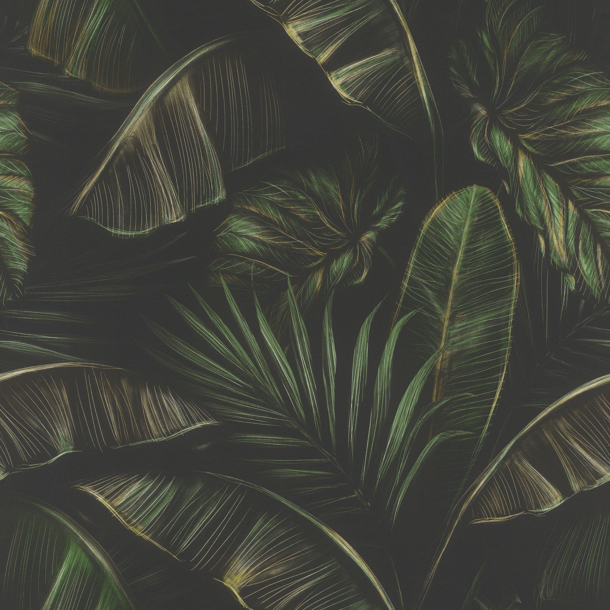 Rasch Papiertapete »mit exotischen Blättern«, botanisch, mit Palmenblättern
