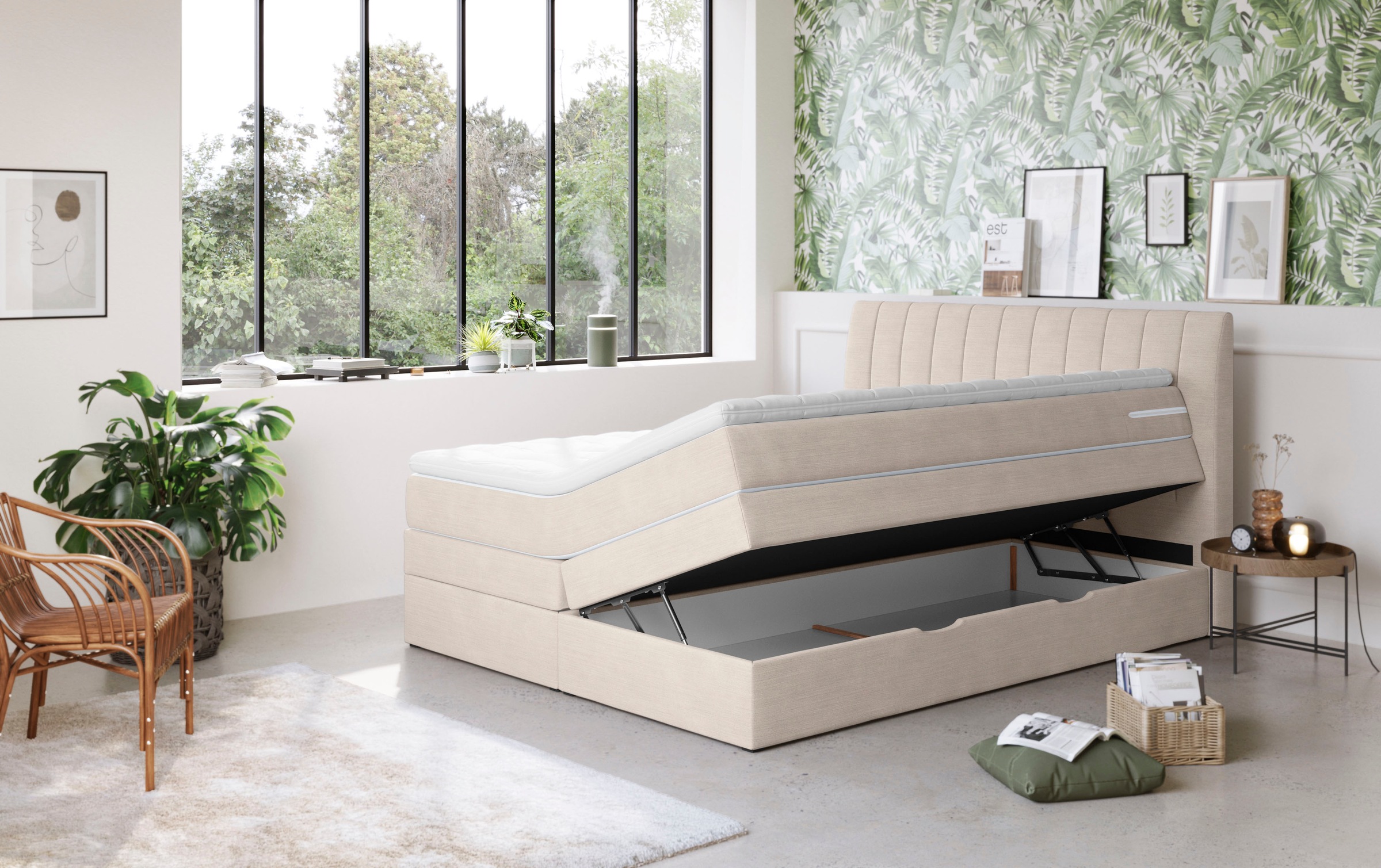 Thumbnail - COTTA Boxspringbett "Shark inkl. Bettkasten und Topper" erhältlich in den Breiten 140x200cm, 160x200cm und 180x200cm