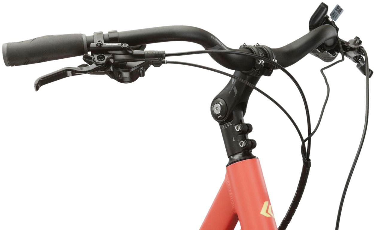 Kross E-Bike »E-Citybike Sentio Hybrid 2.0 28 Zoll orange«, 9 Gang, Shimano, Alivio T4000, Heckmotor 250 W