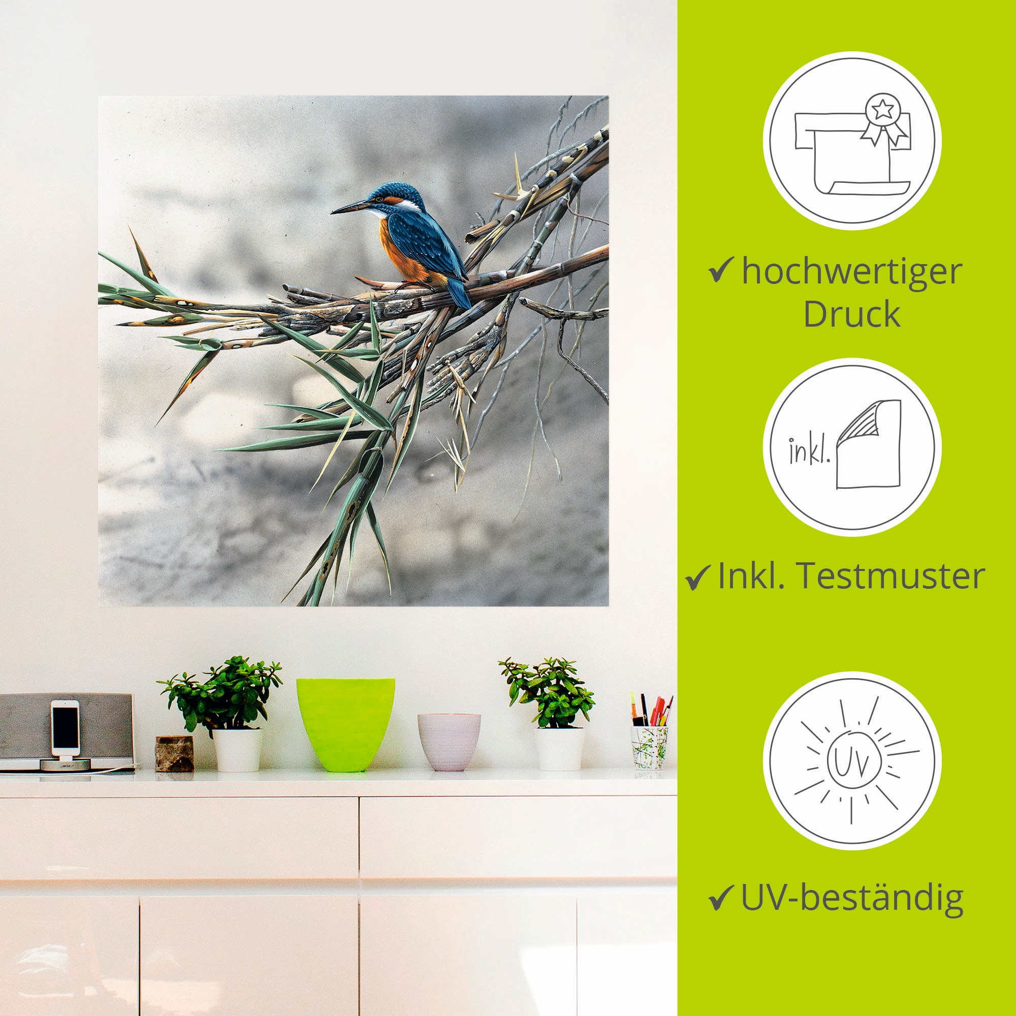 Artland Wandbild »Eisvogel I«, Vögel, (1 St.), als Leinwandbild, Poster, Wandaufkleber in verschied. Größen