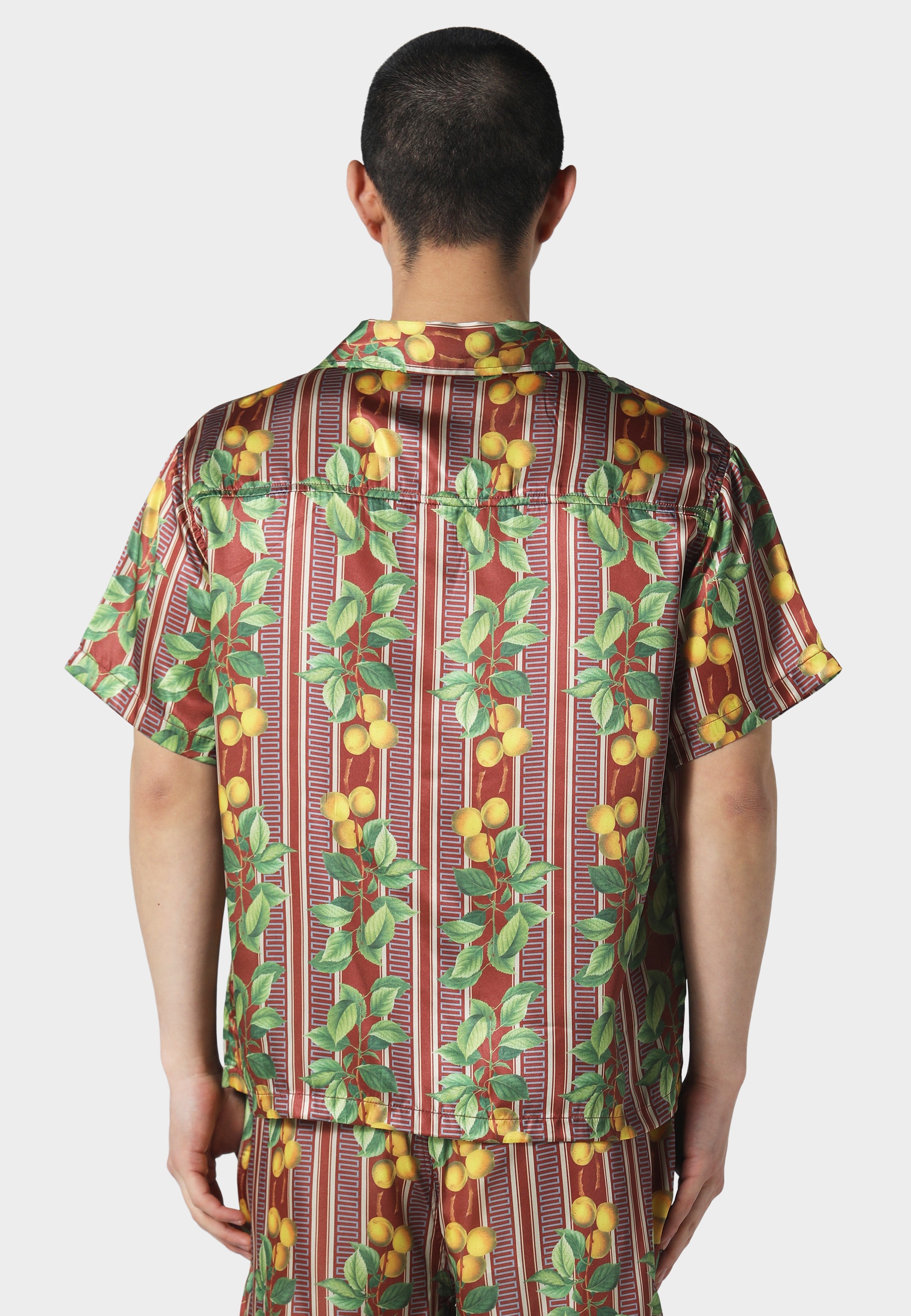 Pas De Monaco Kurzarmshirt »Pas De Monaco FRUITS CUBAN SHIRT« 1 Stk.