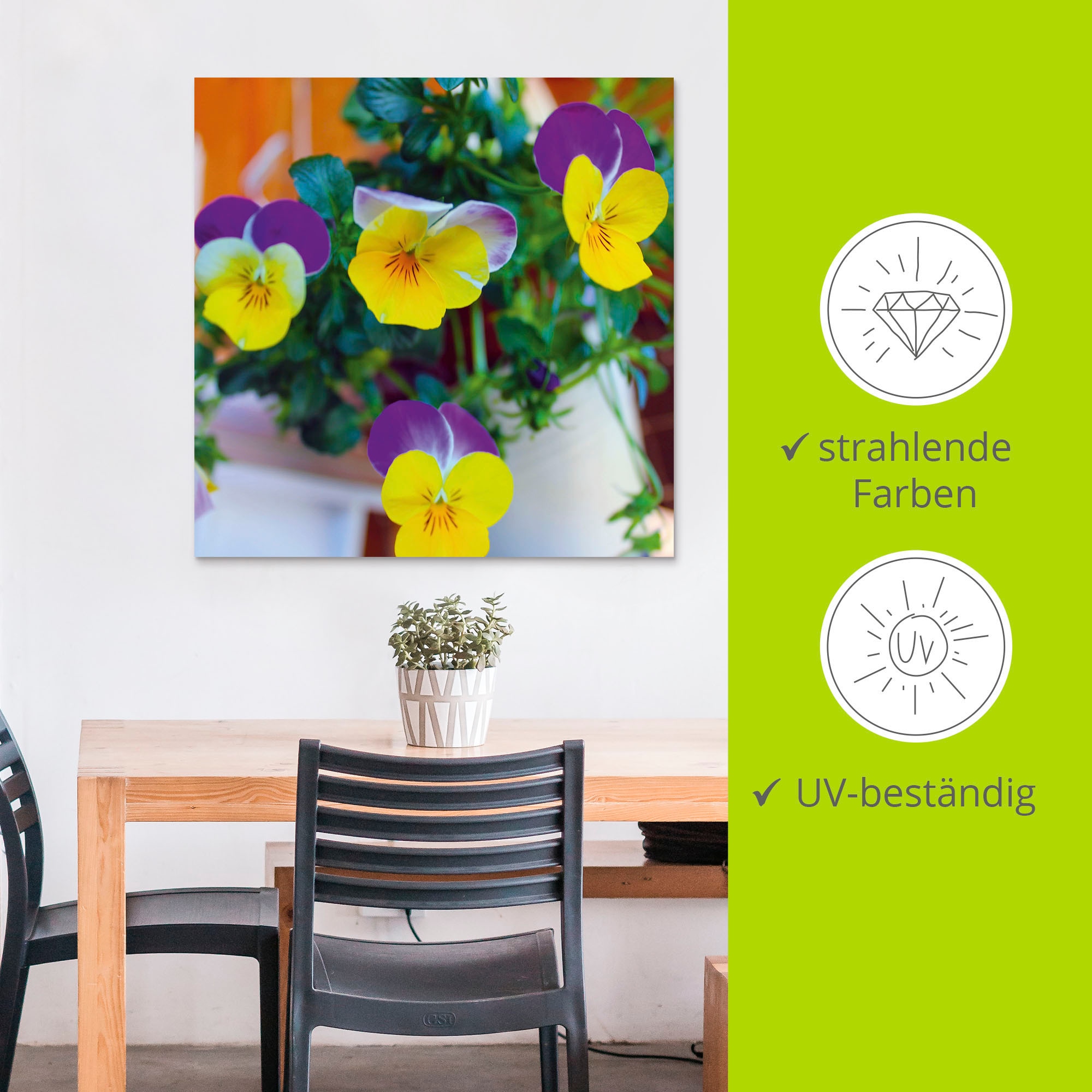 Artland Wandbild »Hornveilchen«, Blumenbilder, (1 St.), als Alubild, Leinwandbild, Wandaufkleber oder Poster in versch. Größen