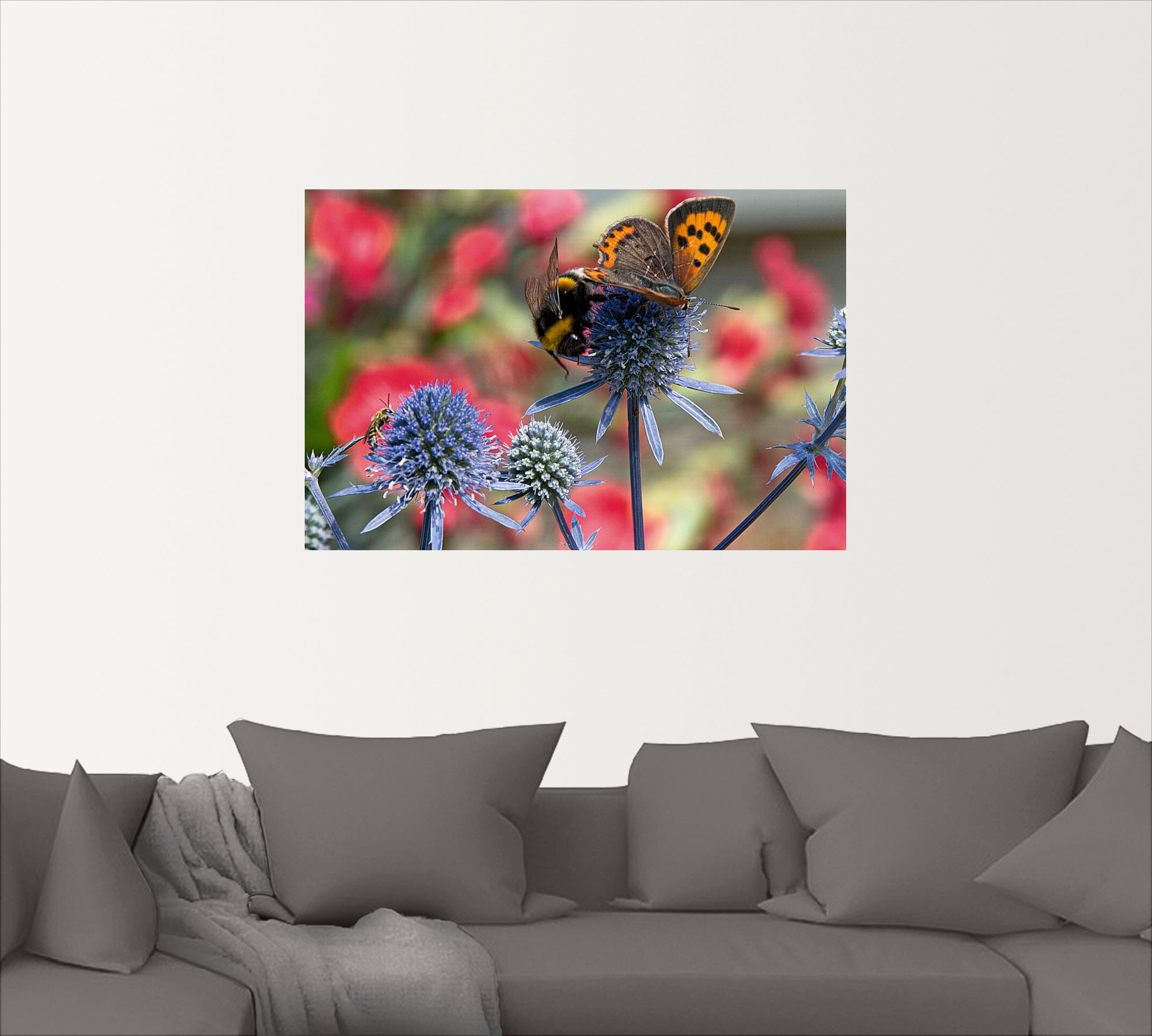 Artland Wandbild »Kleiner Feuerfalter und Hummel«, Insekten, (1 St.), als Alubild, Outdoorbild, Leinwandbild, Wandaufkleber, versch. Größen