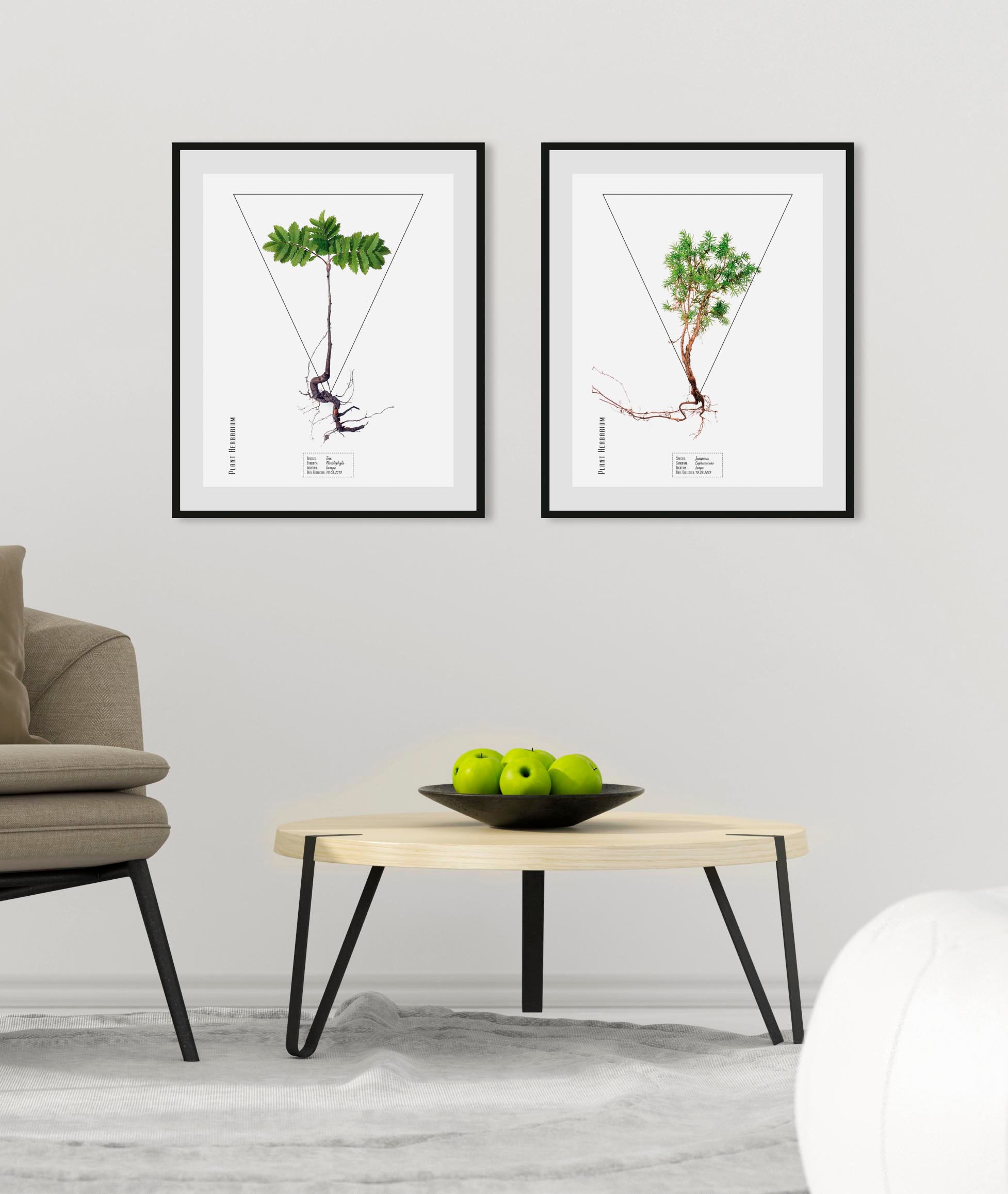 queence Bild "Fem", Pflanzen-Pflanzenbilder-Schriftzug, (1 St.), HD Premium günstig online kaufen